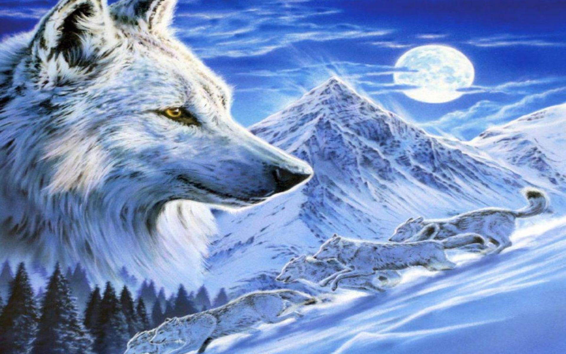 Ice Wolves Wallpapers Wallpaper Cave