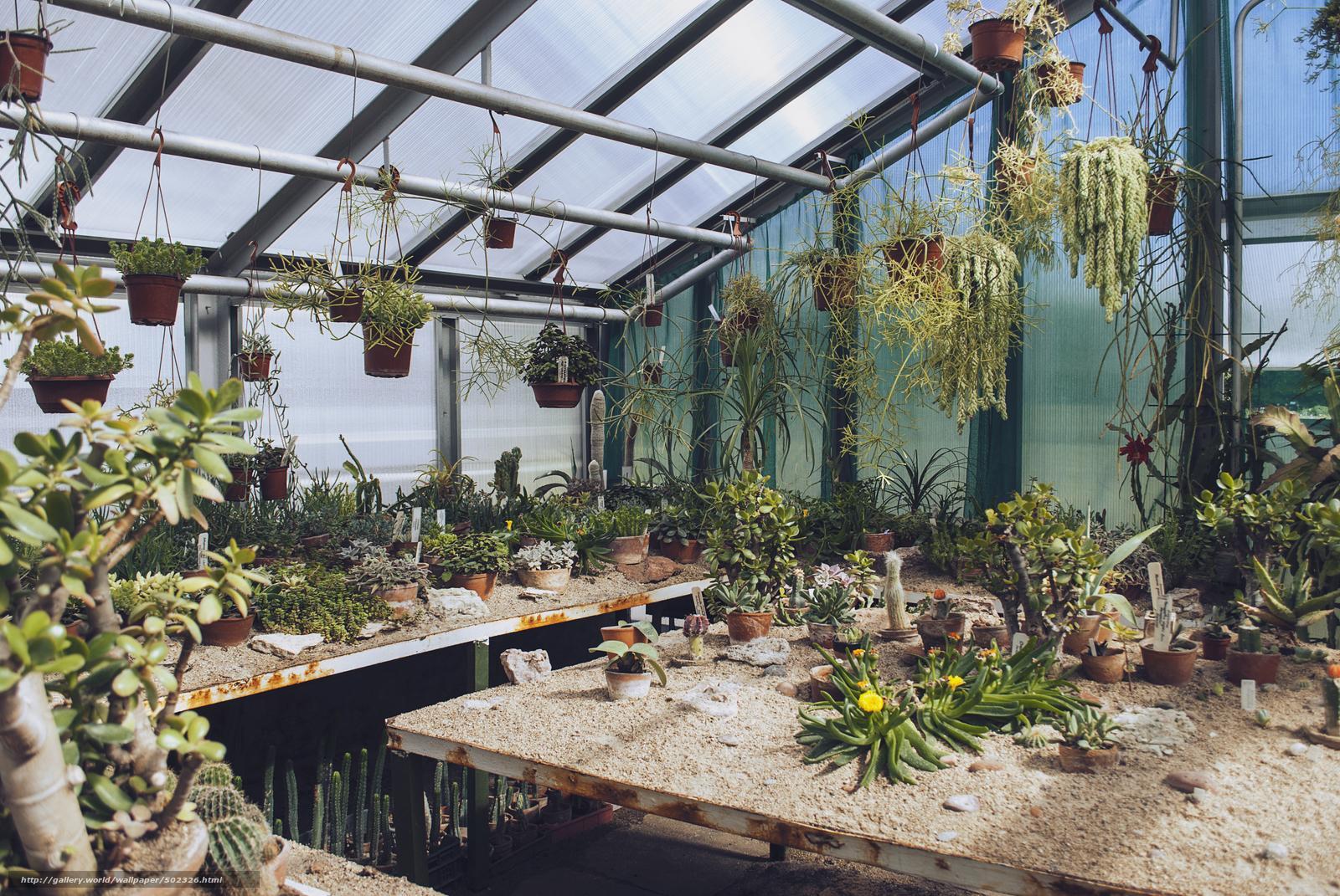 Greenhouse Wallpapers Wallpaper Cave