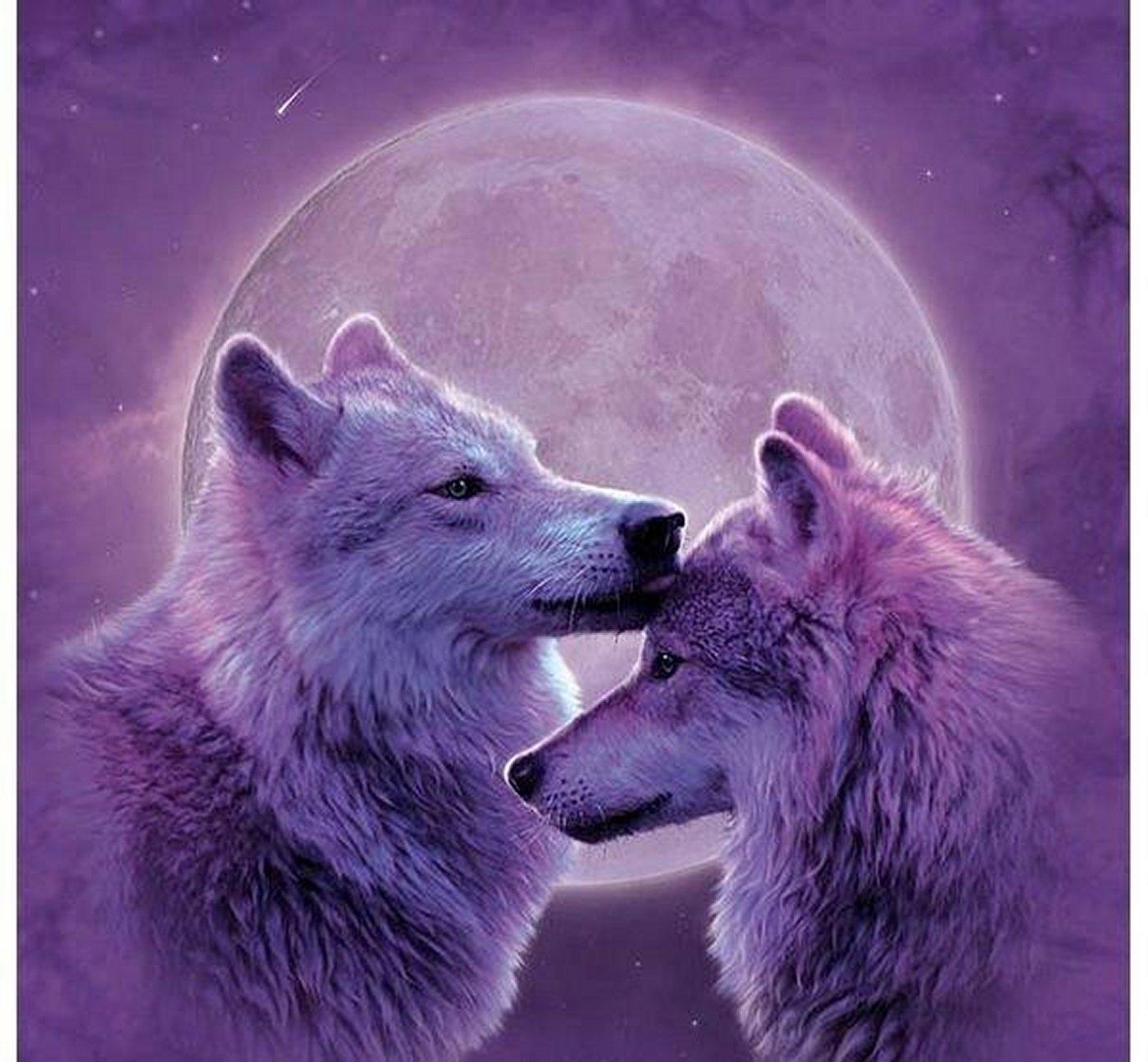 Wolf Love Wallpapers - Wallpaper Cave