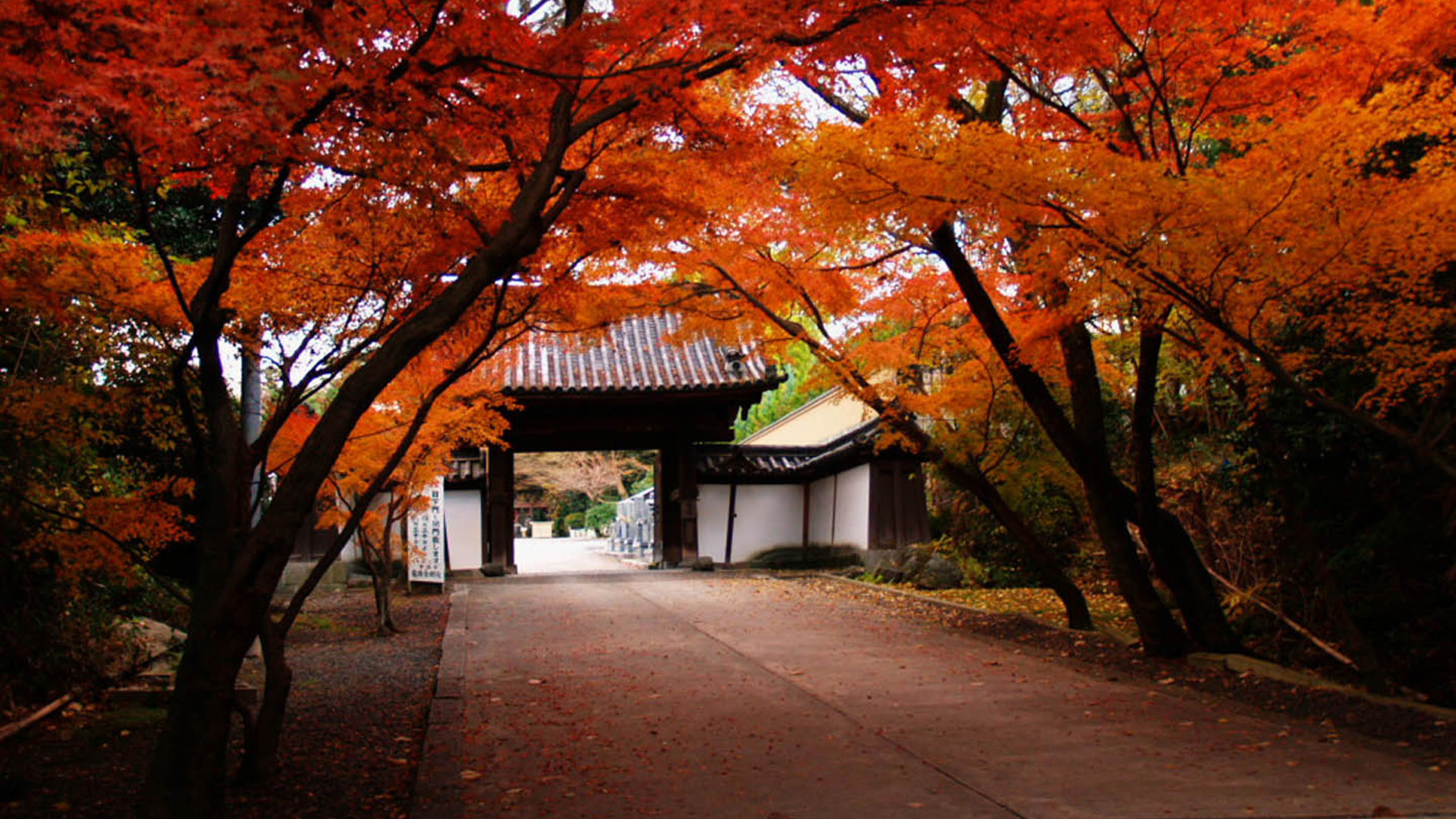Autumn Japan Wallpapers Wallpaper Cave