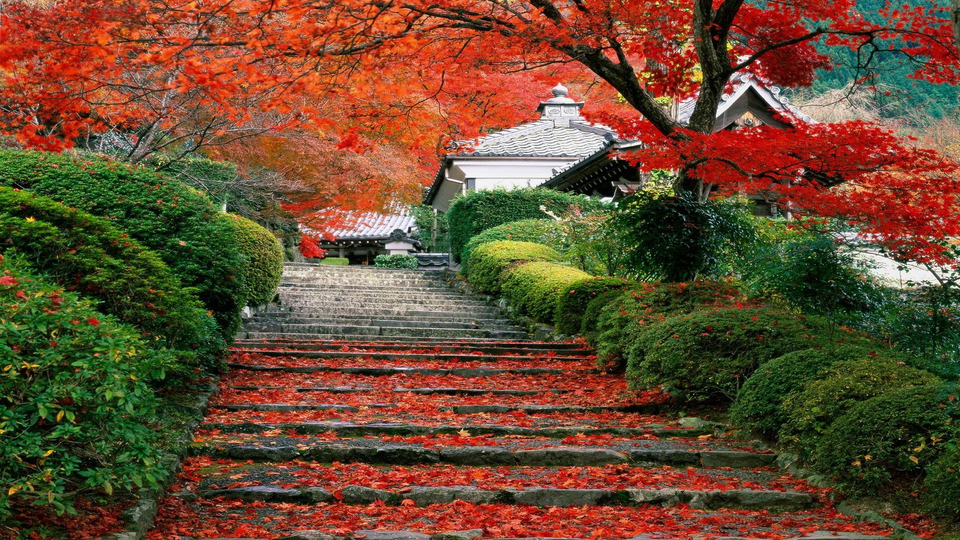 Japanese Autumn Wallpapers Wallpaper Cave