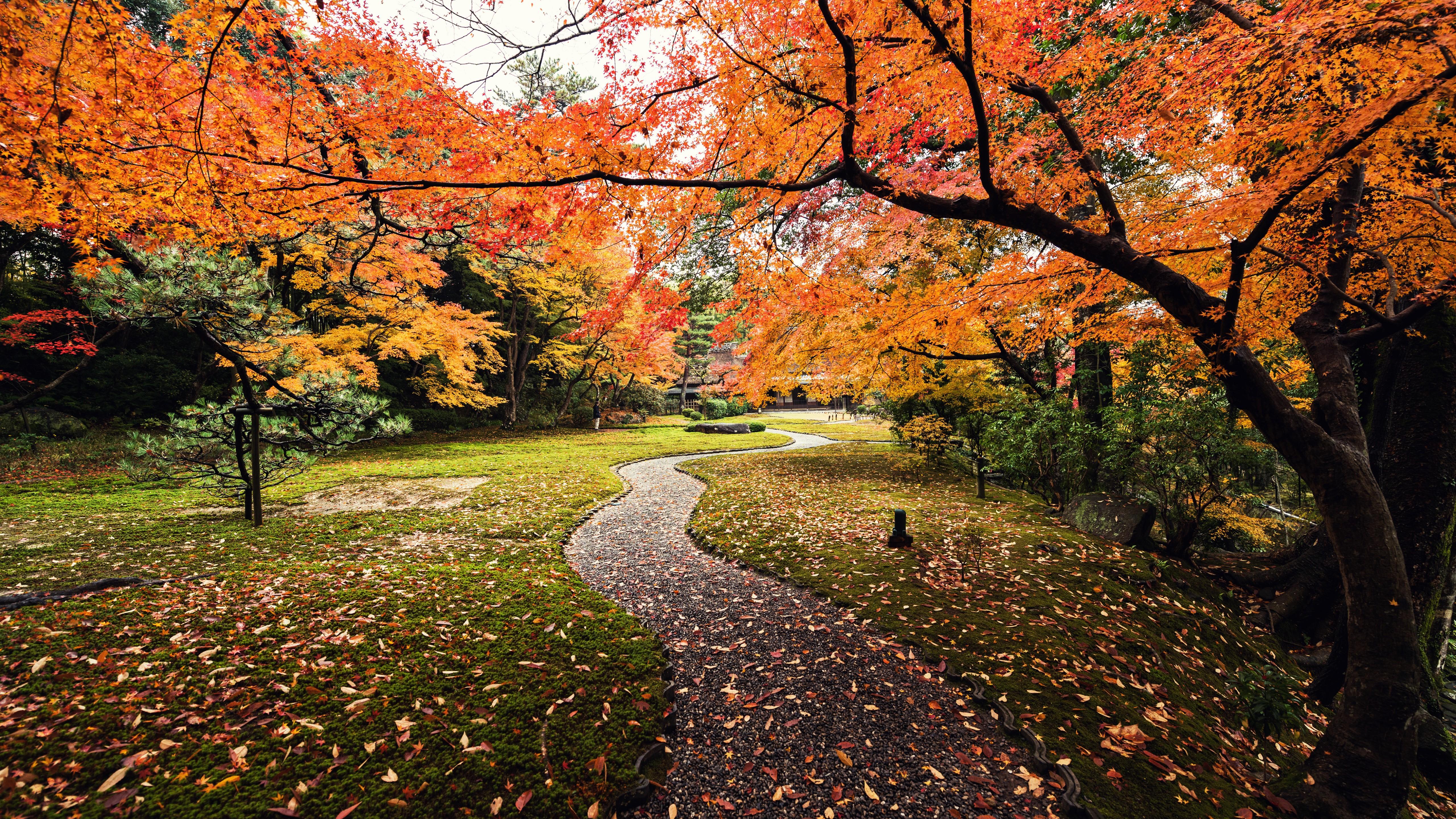 Japanese Autumn Wallpapers - Wallpaper Cave