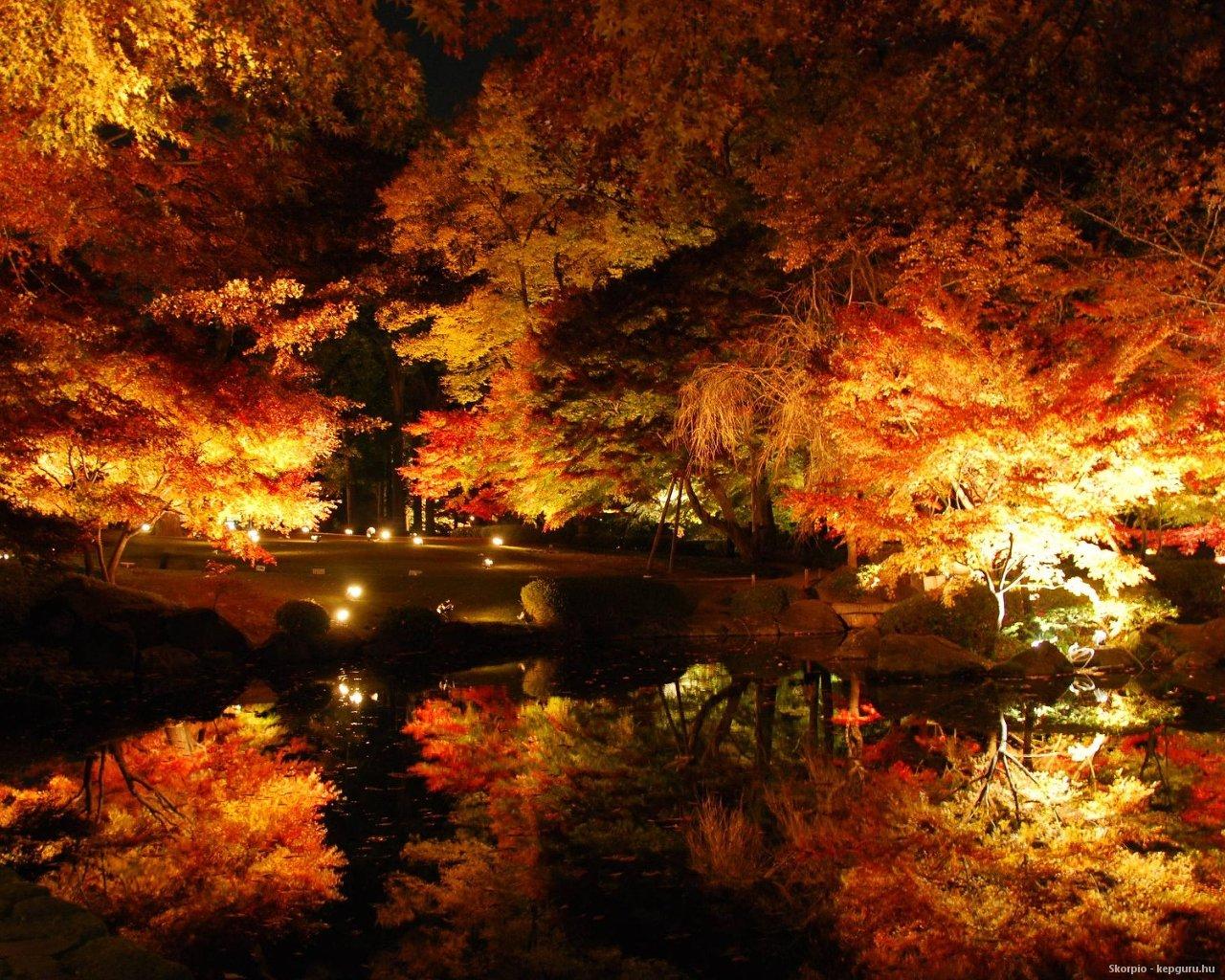 Japanese Autumn Wallpapers Wallpaper Cave