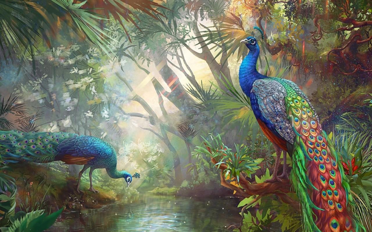 Peacock Paradise Wallpapers Wallpaper Cave
