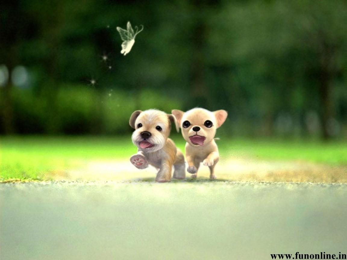 Little Dog Wallpapers Wallpaper Cave