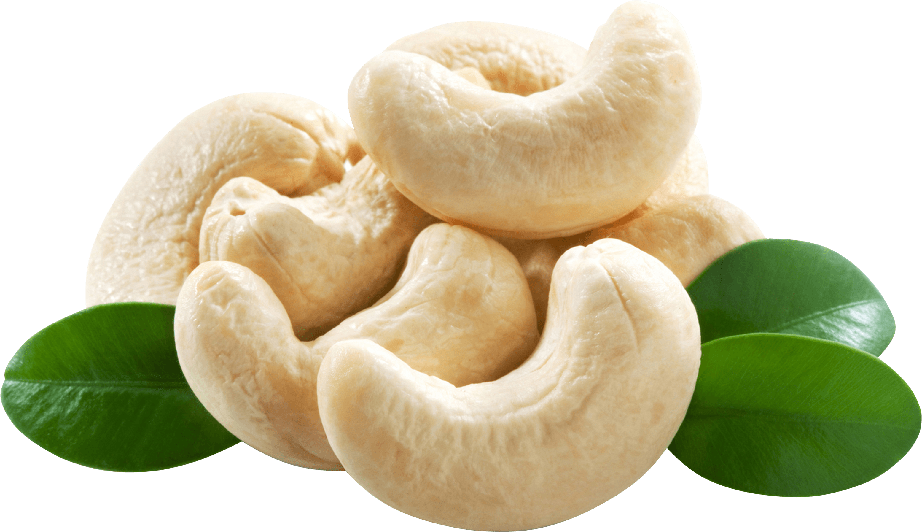 Cashew Nut Wallpapers Wallpaper Cave