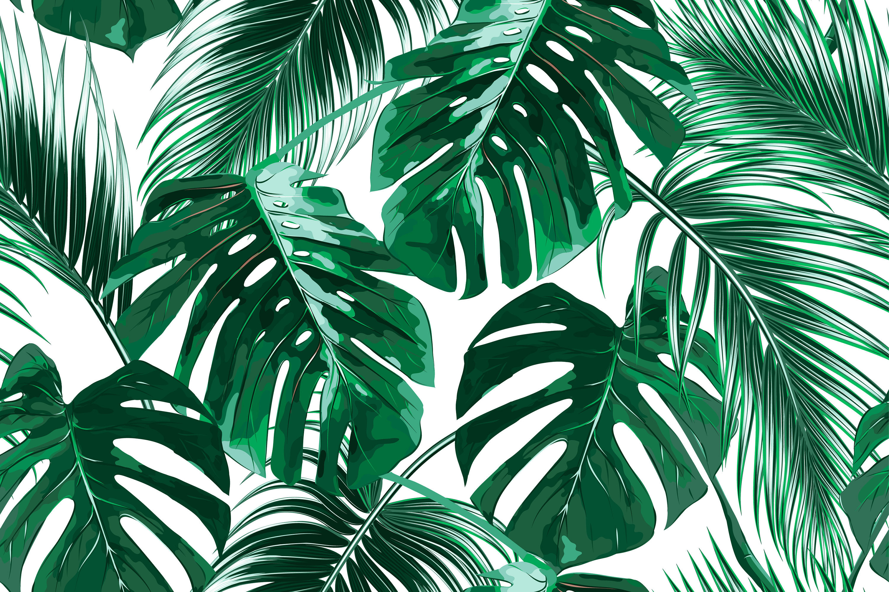 Tropical Leaf Wallpapers Wallpaper Cave
