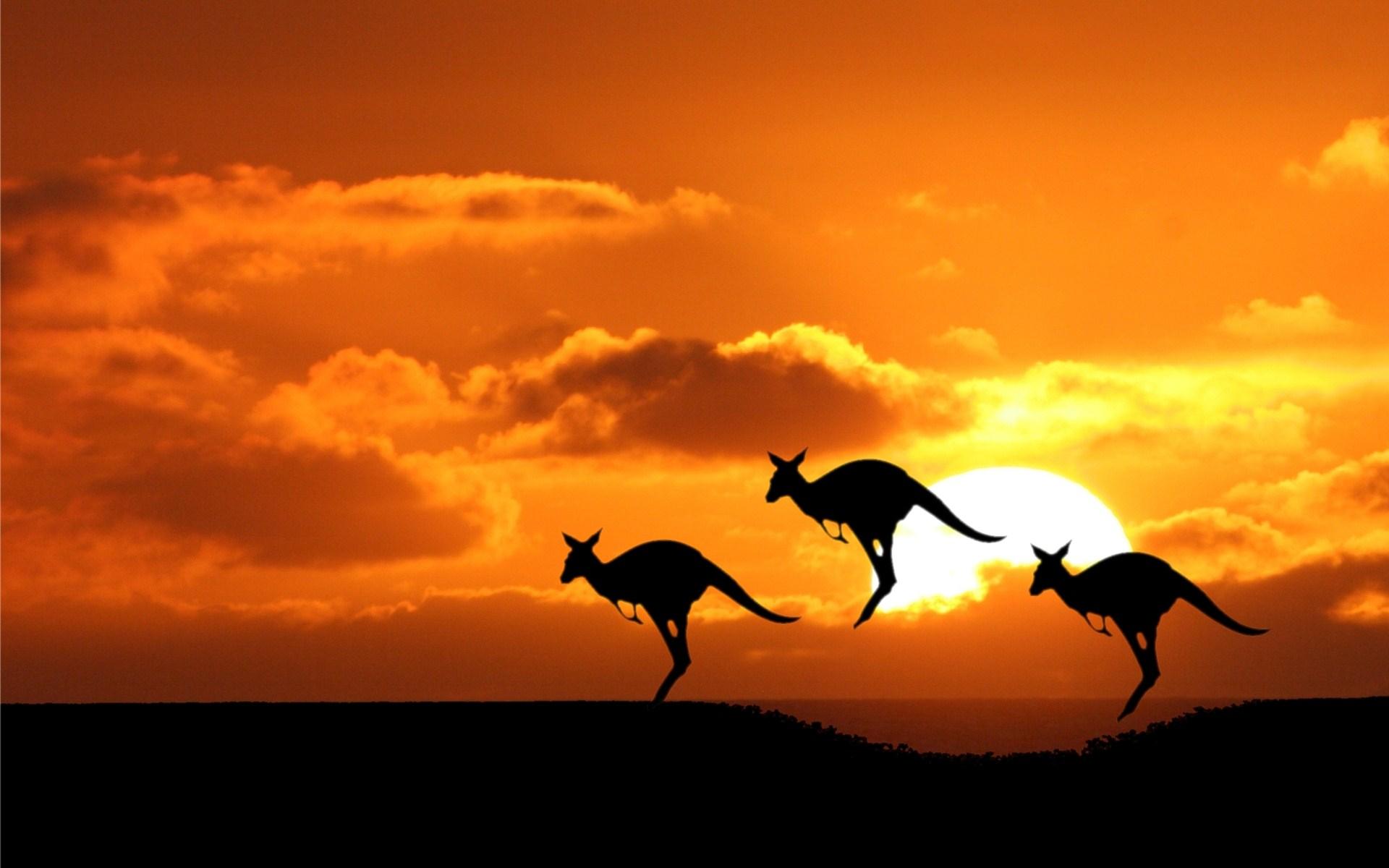 Australian Wallpapers Wallpaper Cave