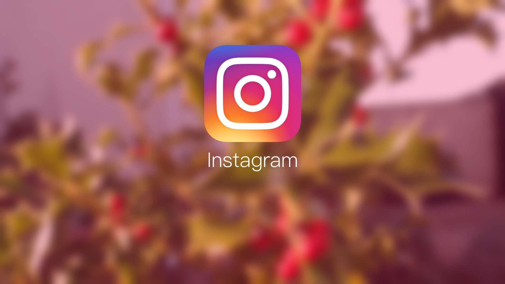 Instagram Wallpapers Wallpaper Cave