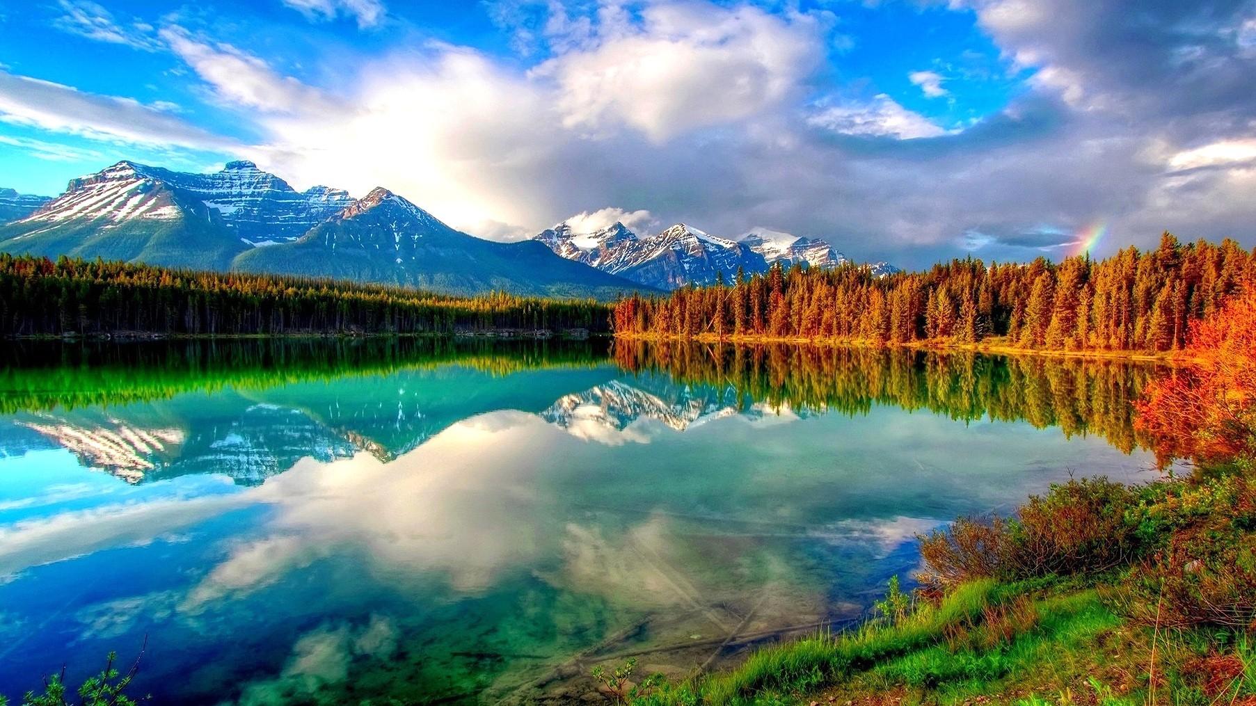 Clear Wallpapers Wallpaper Cave