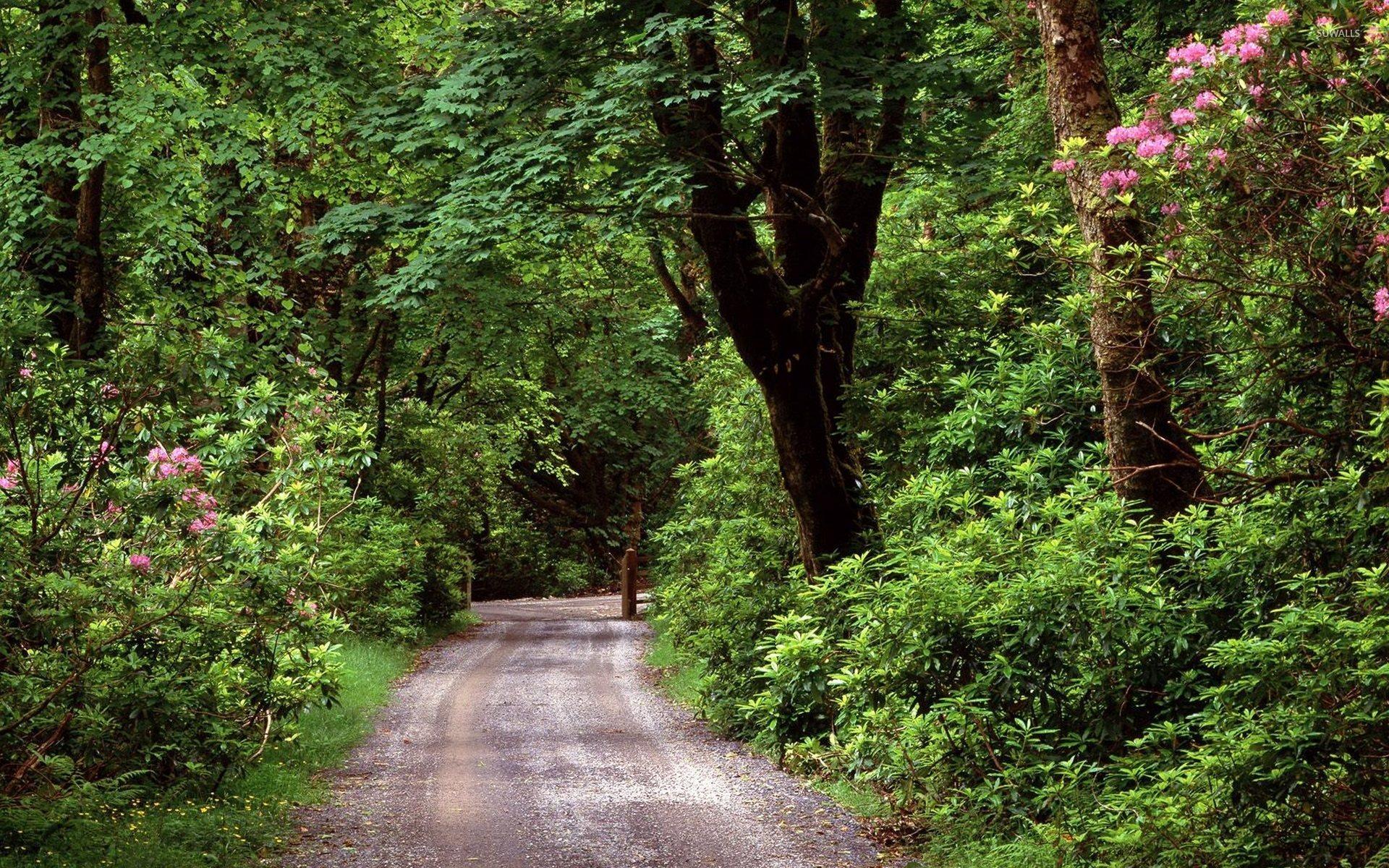 Galway Wallpapers Wallpaper Cave