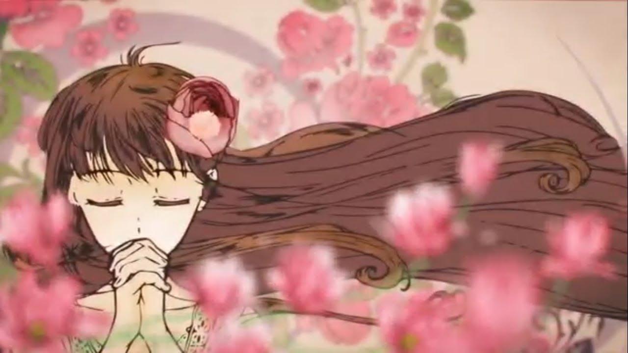 Fruit Basket 2019 Wallpapers Wallpaper Cave