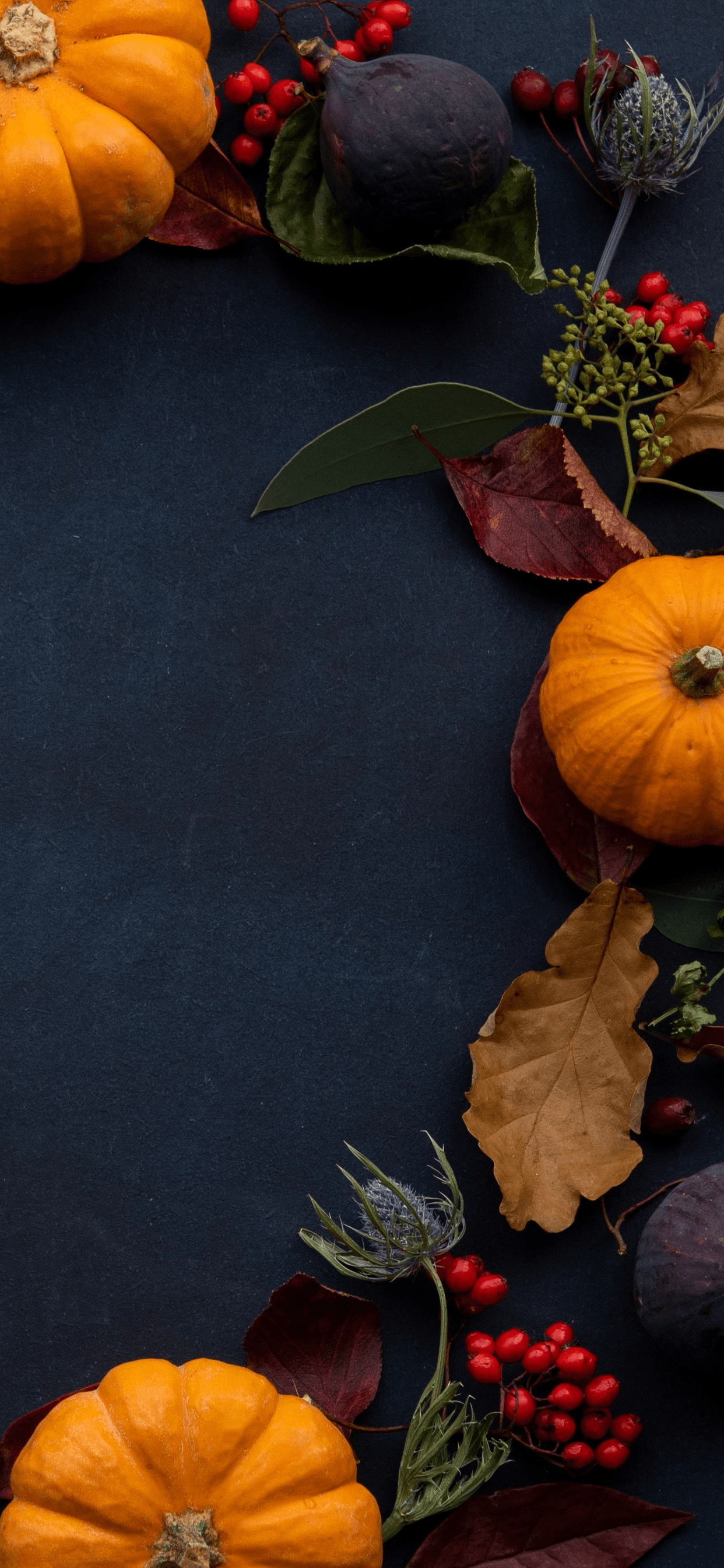 Pumpkin Wallpapers Wallpaper Cave