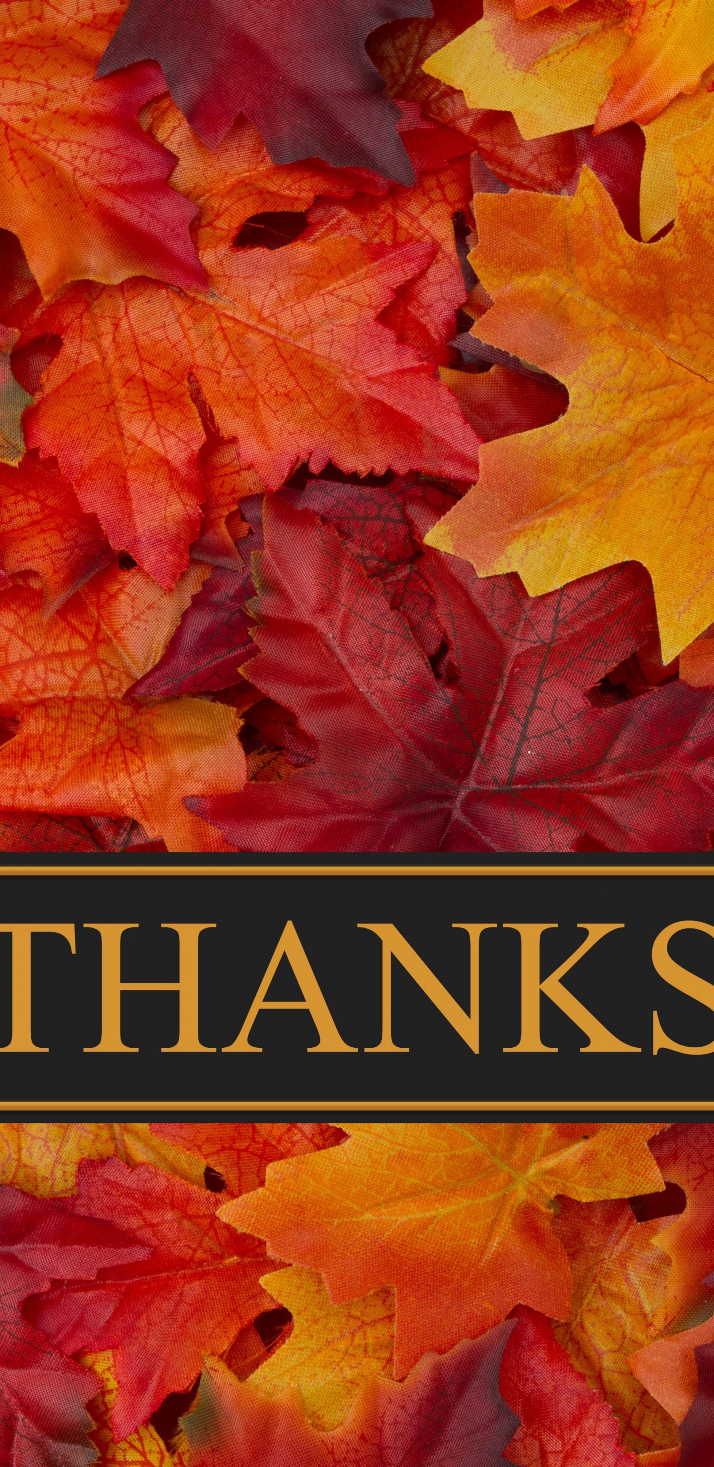 Thanksgiving Mobile Wallpapers Wallpaper Cave