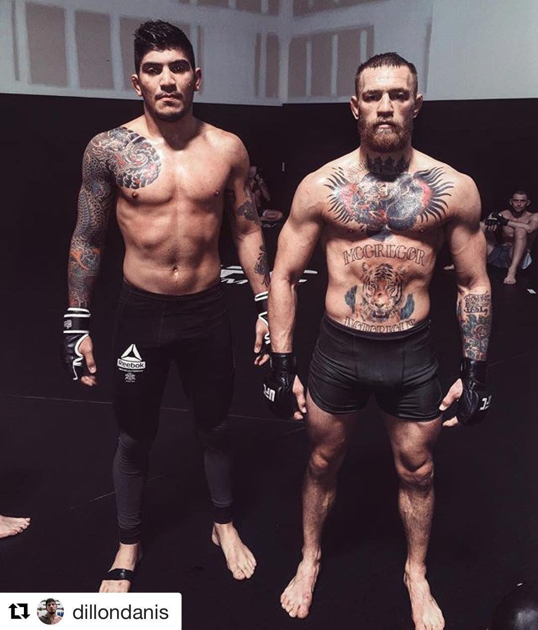 Dillon Danis Wallpapers Wallpaper Cave