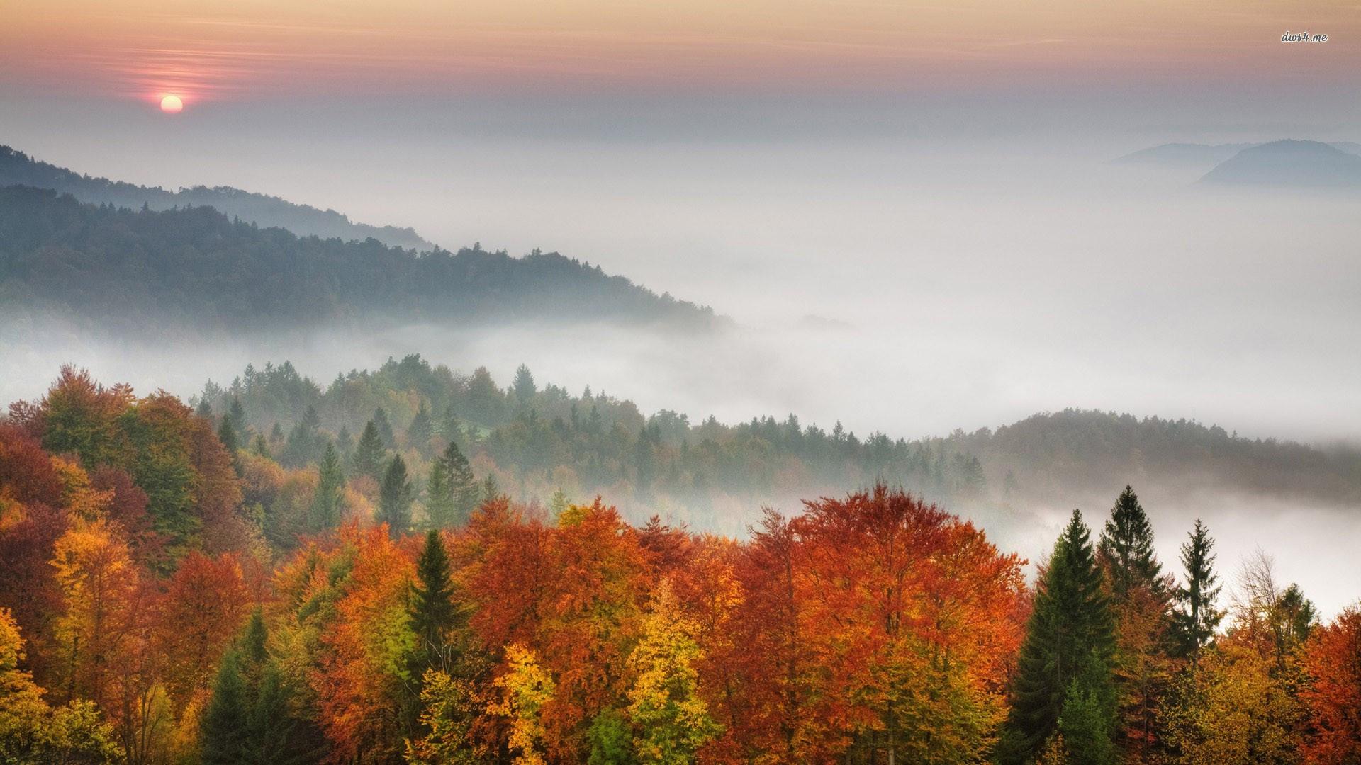 Autumn Mist Wallpapers Wallpaper Cave