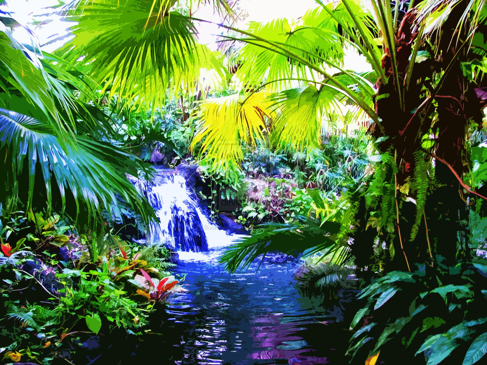 Rainbow Rainforest Wallpapers Wallpaper Cave