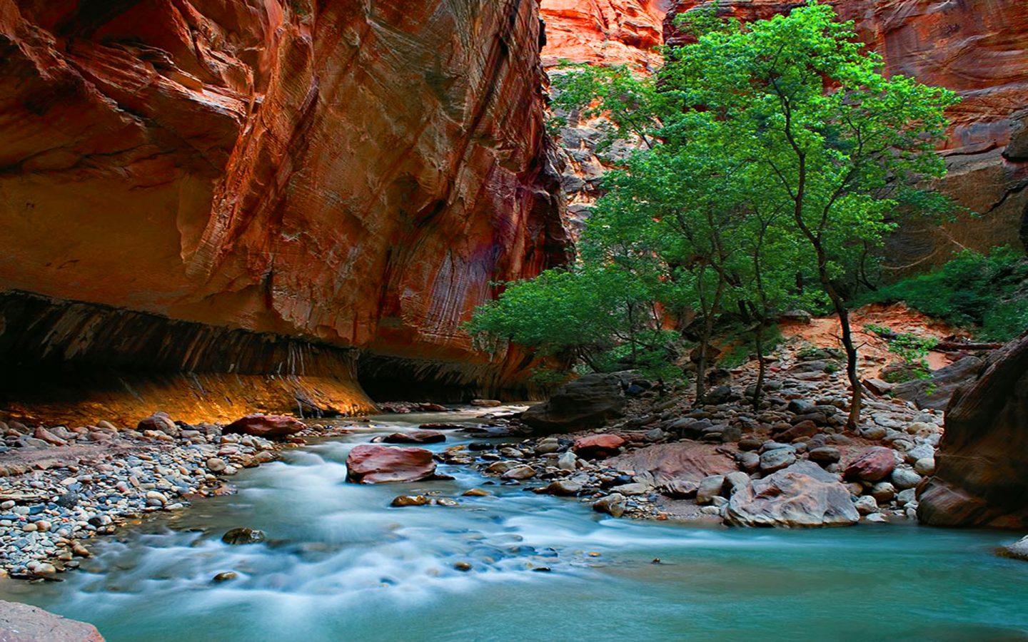 Virgin River Zion National Park Wallpapers Wallpaper Cave