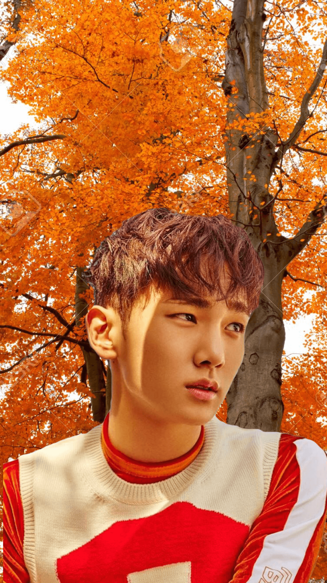 Key Shinee Wallpapers Wallpaper Cave