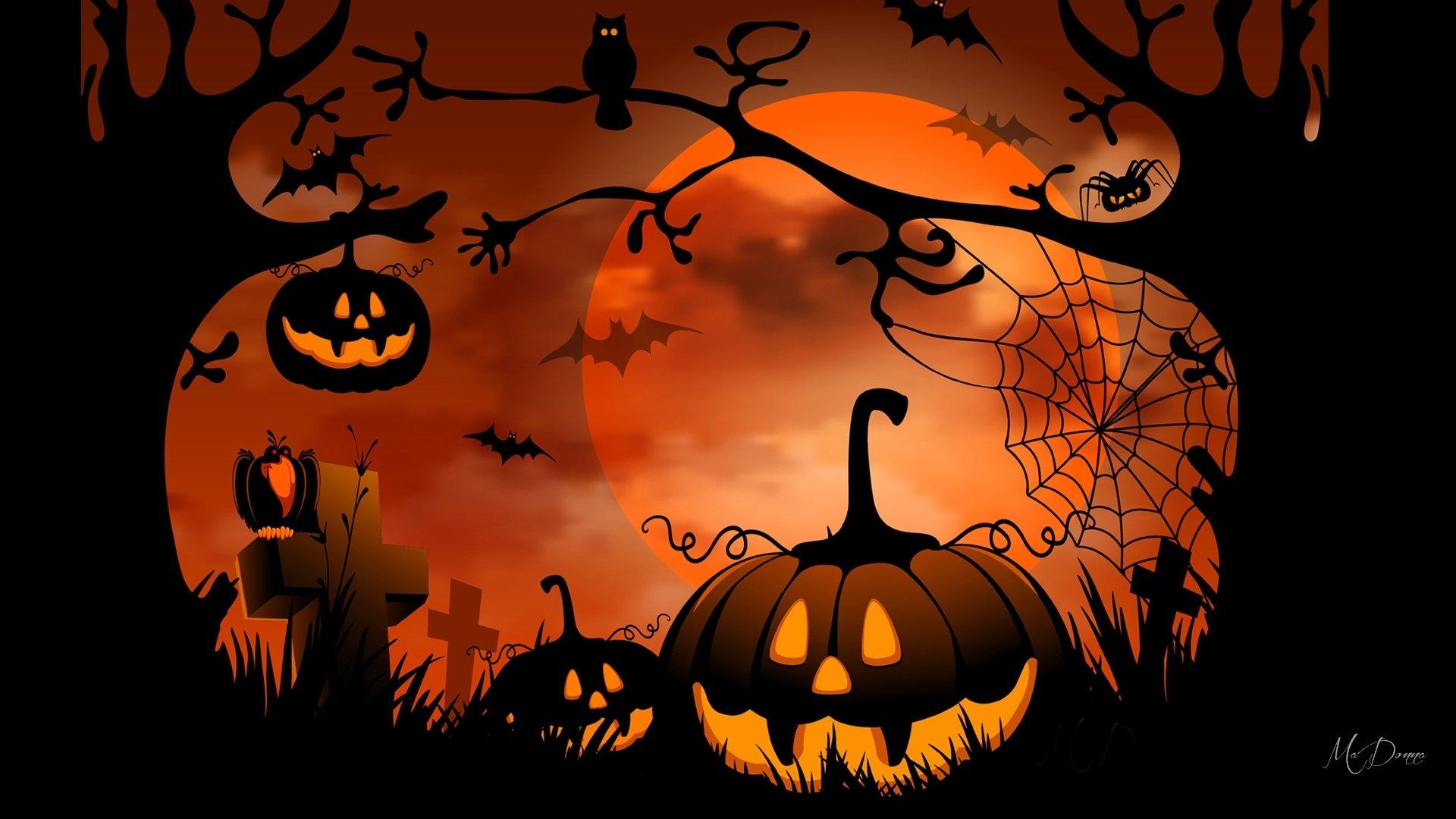 Jacko'lantern HD Wallpapers Wallpaper Cave