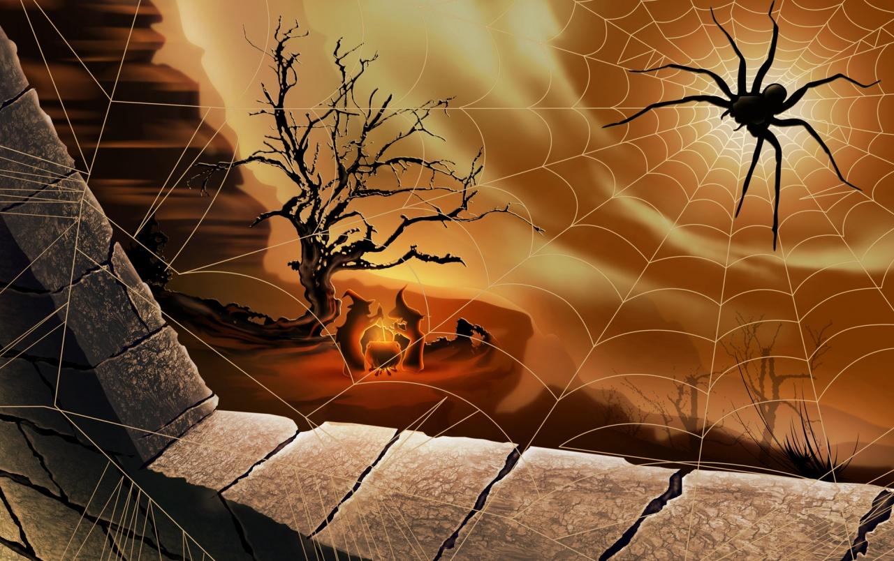 Black Spider Wallpapers Wallpaper Cave