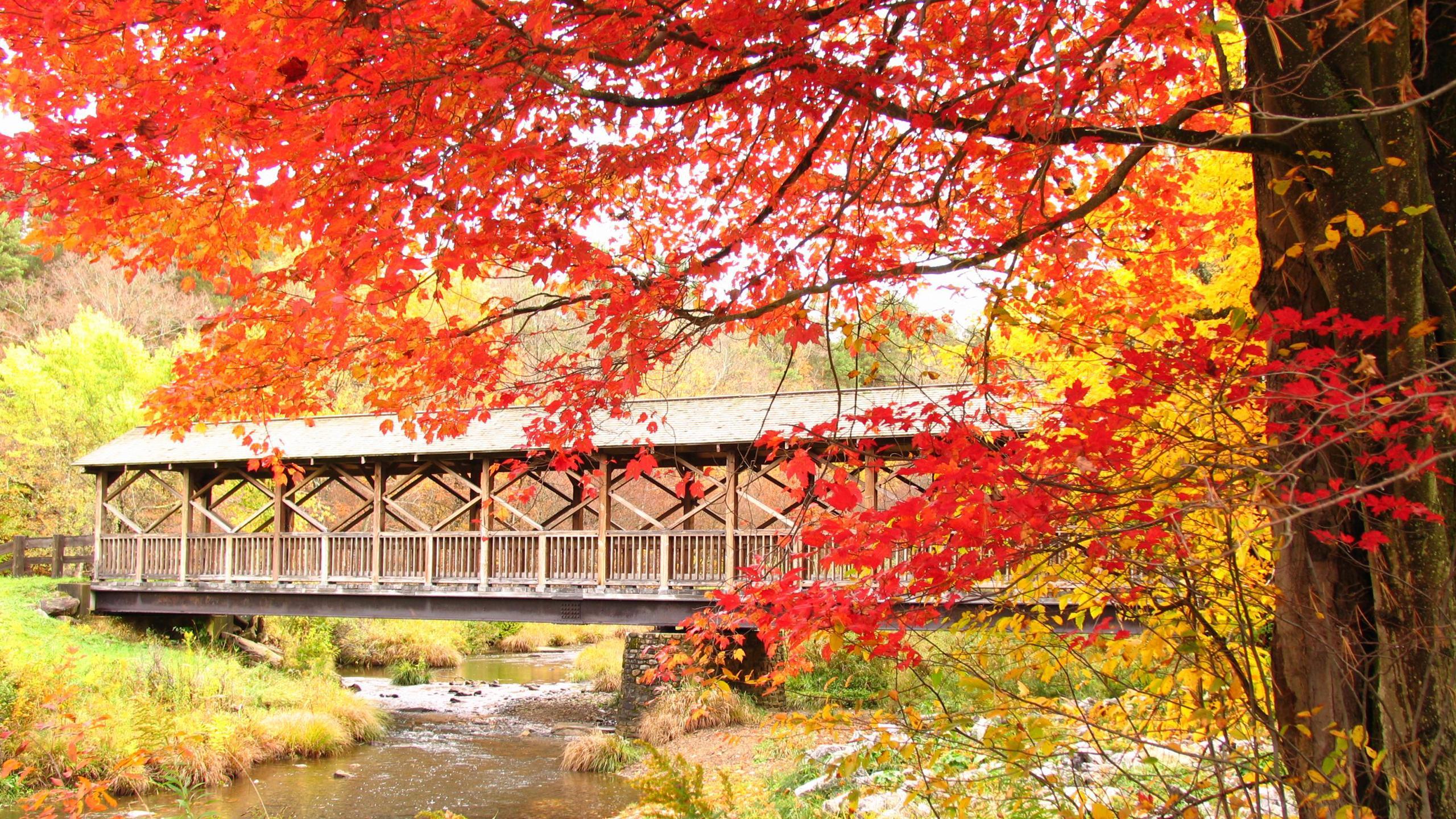 Covered Bridge Wallpapers Wallpaper Cave