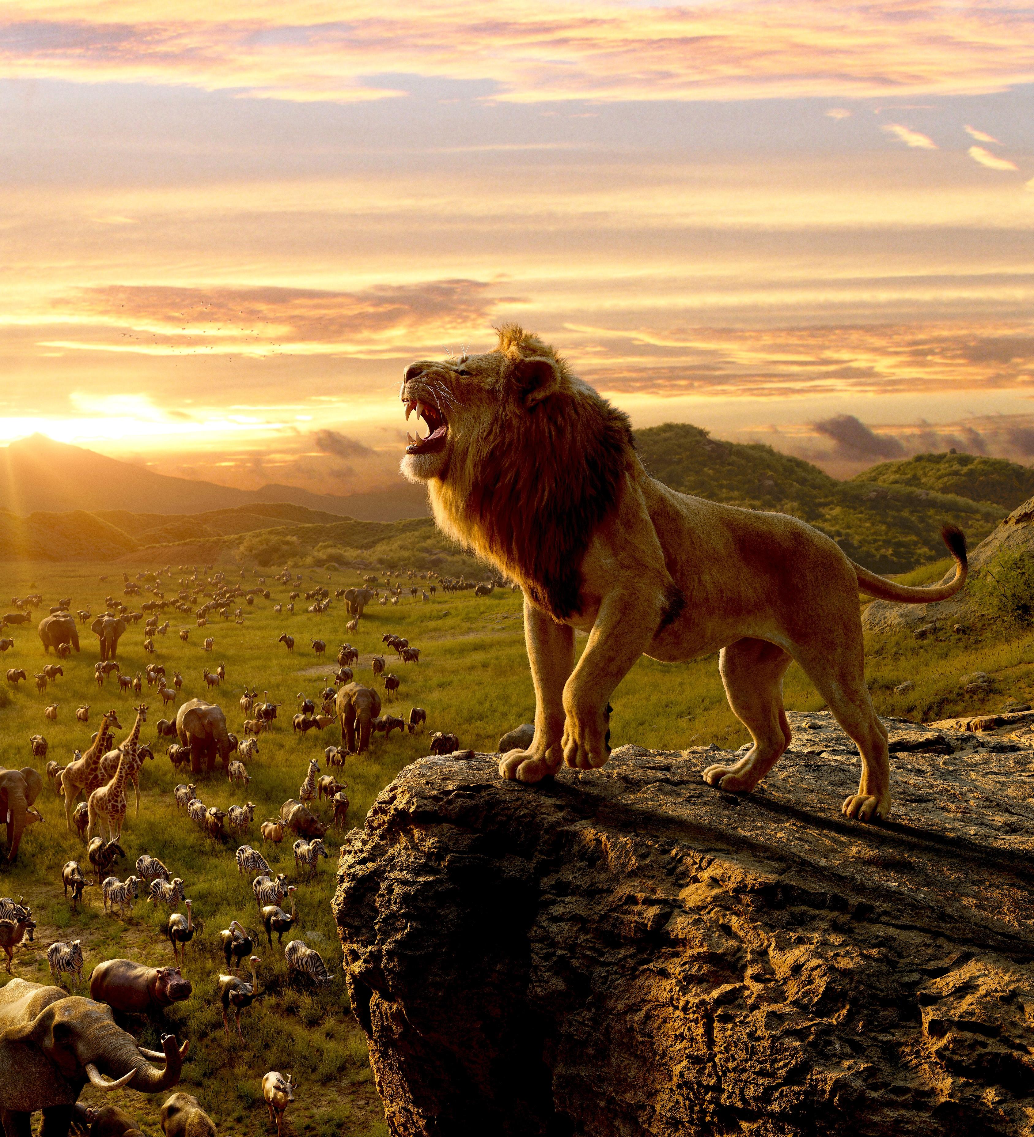 Lion King Roar Wallpapers Wallpaper Cave