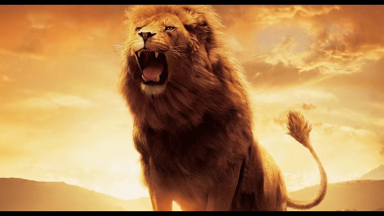 Lion King Roar Wallpapers Wallpaper Cave