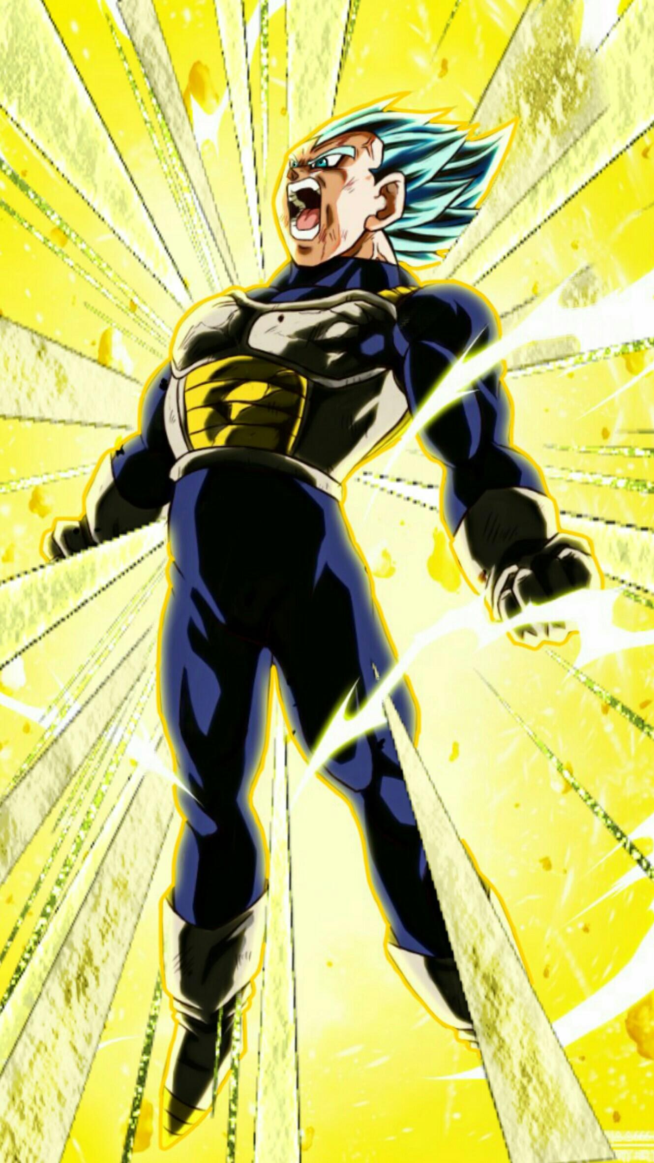 Vegeta Super Saiyan Blue Evolution Wallpapers Wallpaper Cave