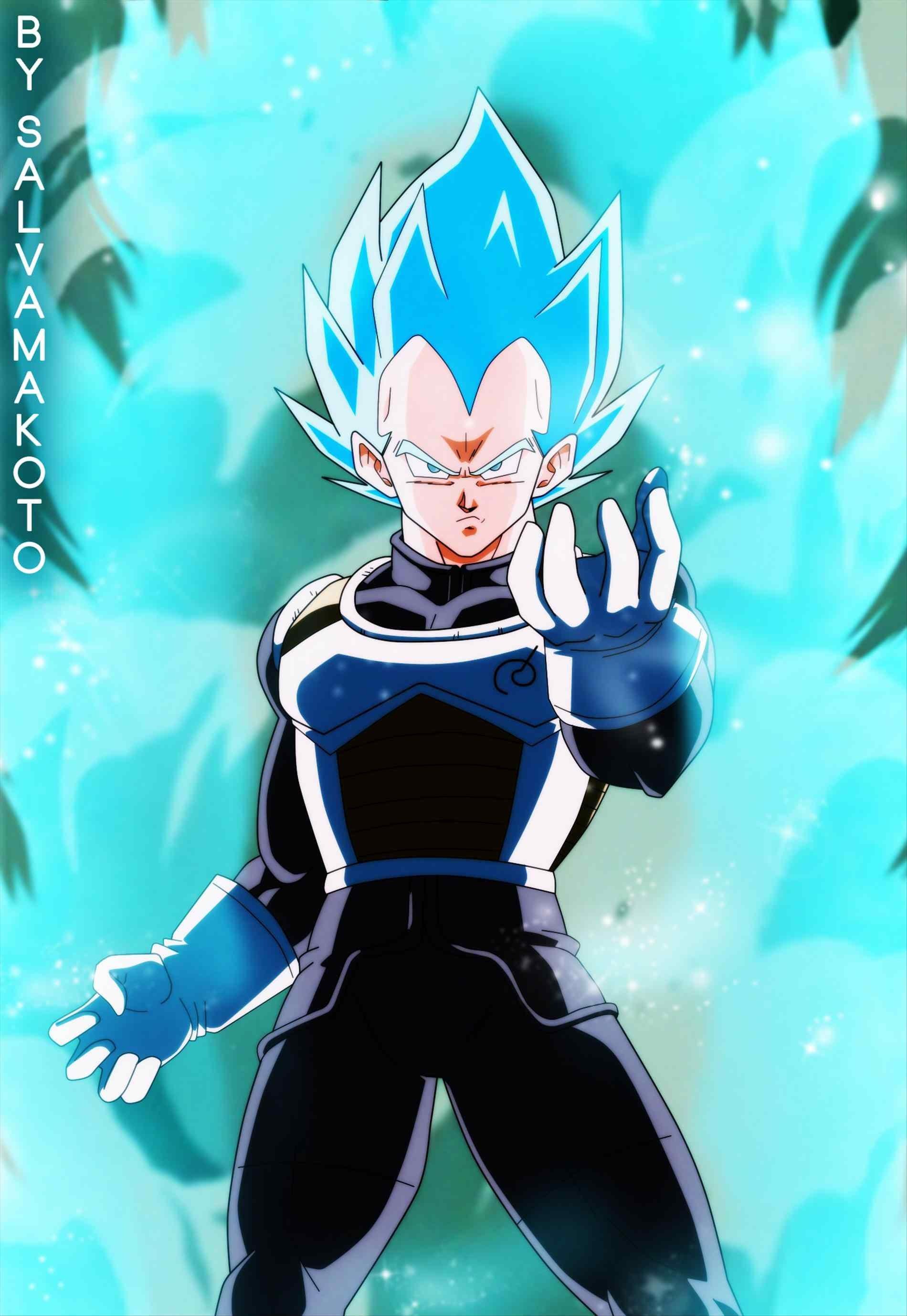 Vegeta Super Saiyan Blue Evolution Wallpapers Wallpaper Cave