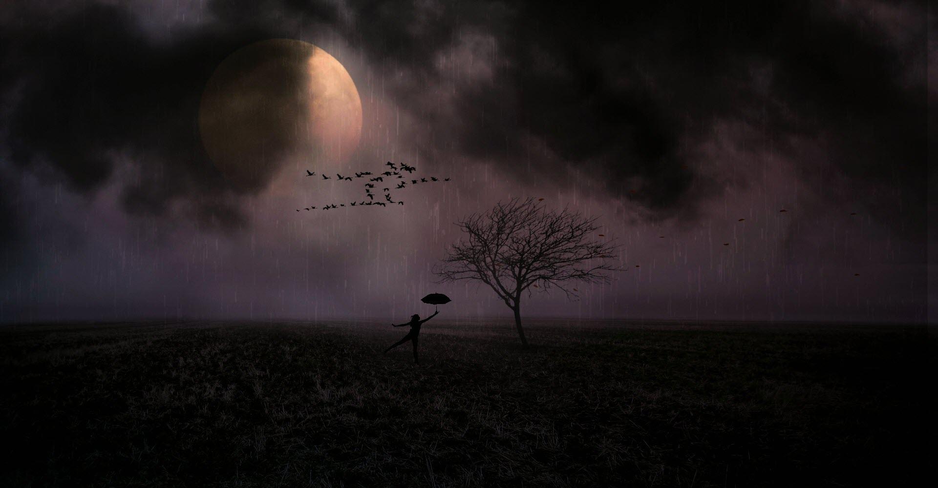 Rain Night Wallpapers Wallpaper Cave