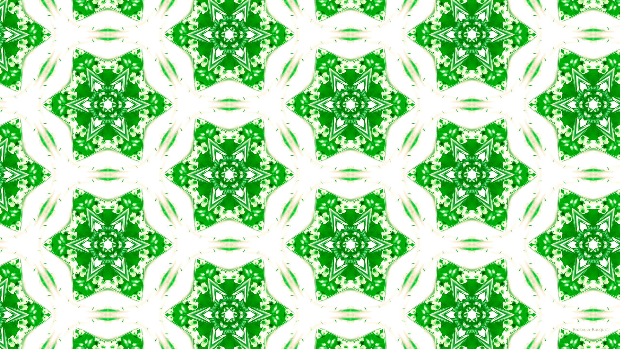 Green And White Wallpapers Wallpaper Cave