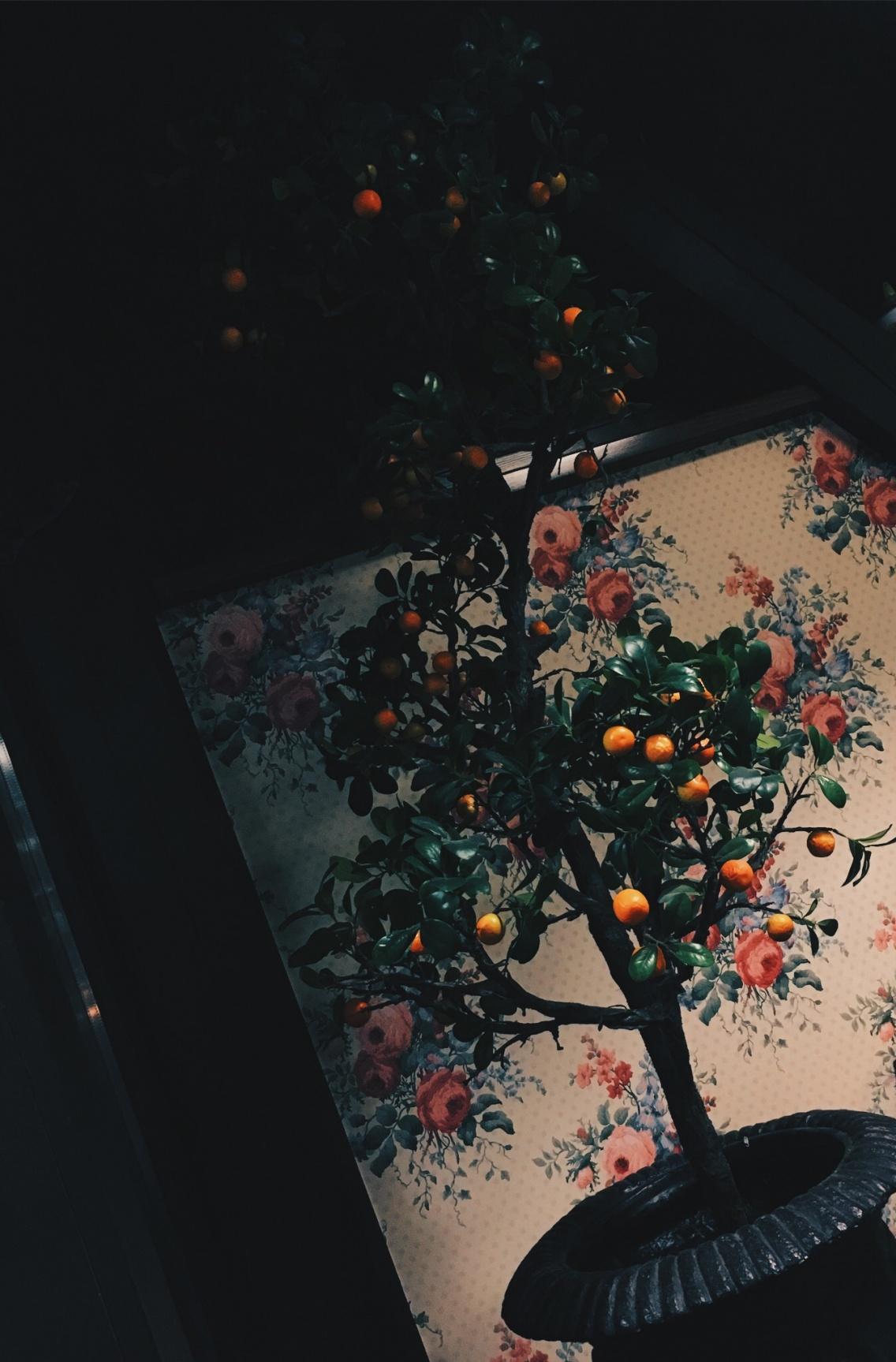 Orange VSCO Wallpapers Wallpaper Cave