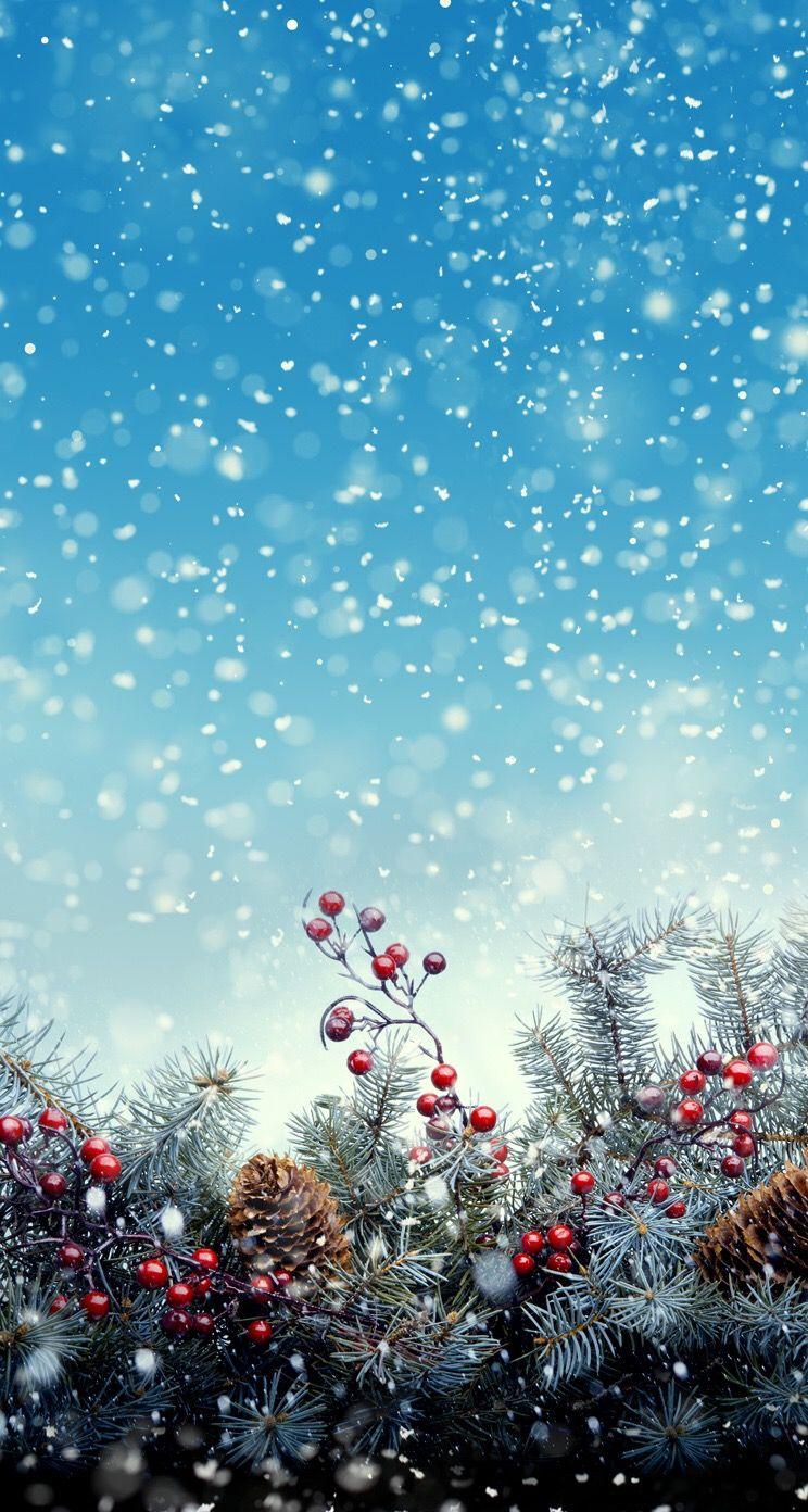 Christmas Pictures Snow Wallpapers Wallpaper Cave