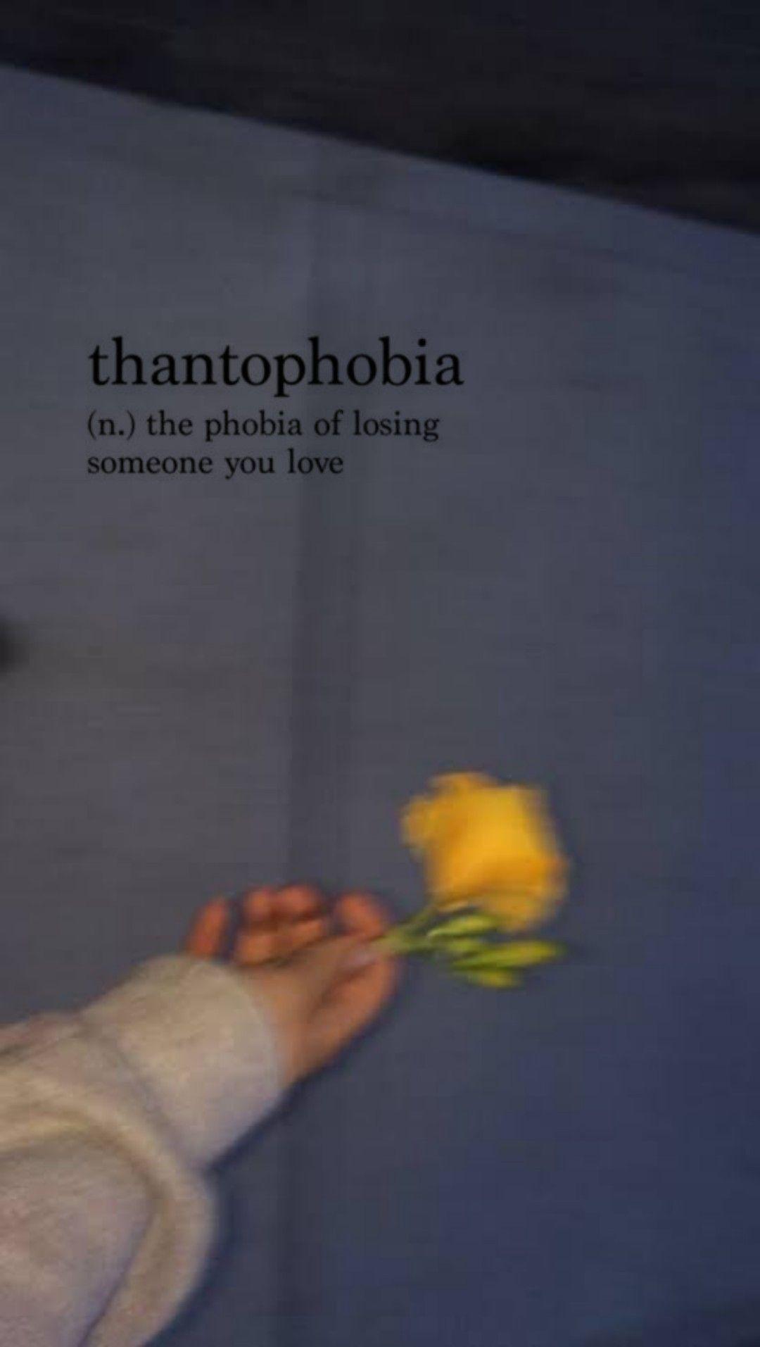 Phobia Aesthetic Wallpapers Wallpaper Cave