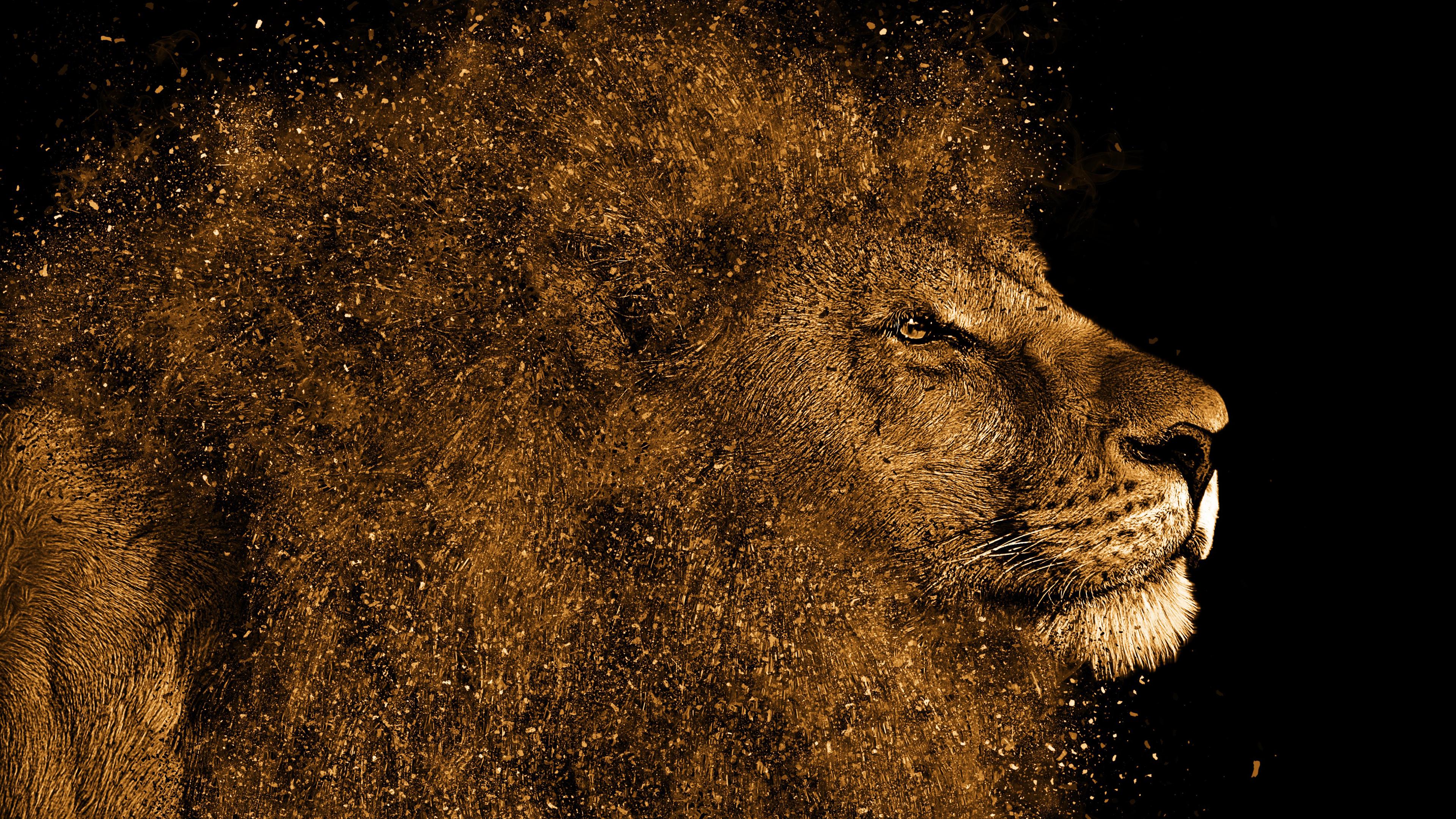 Lion Art Wallpapers Wallpaper Cave