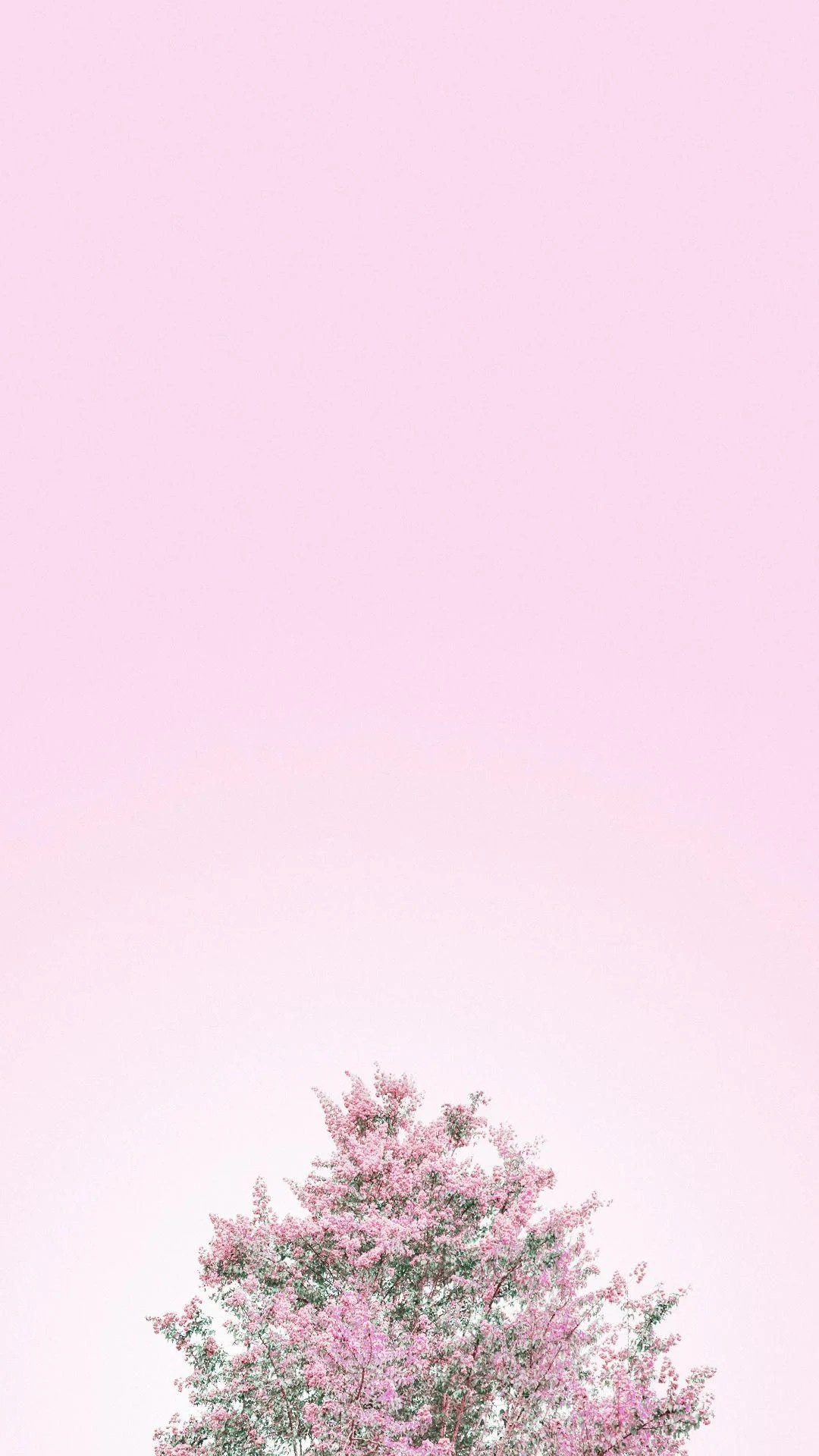 Aesthetic Pastel Minimalist Wallpapers Wallpaper Cave