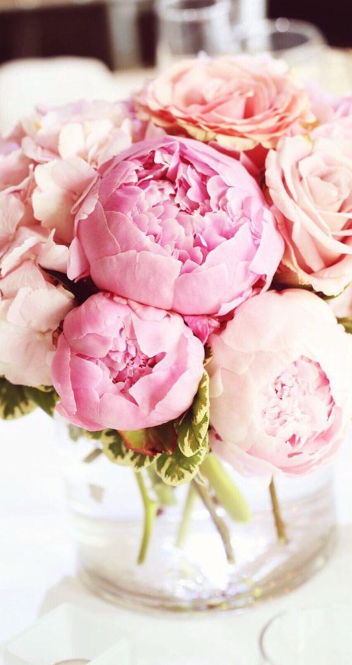 Peonies Vintage Bouquet Wallpapers Wallpaper Cave