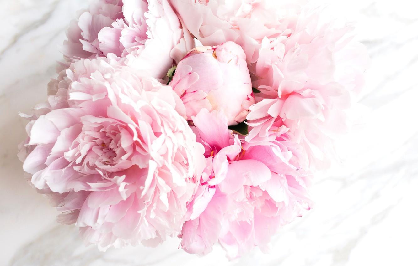 Peonies Vintage Bouquet Wallpapers Wallpaper Cave