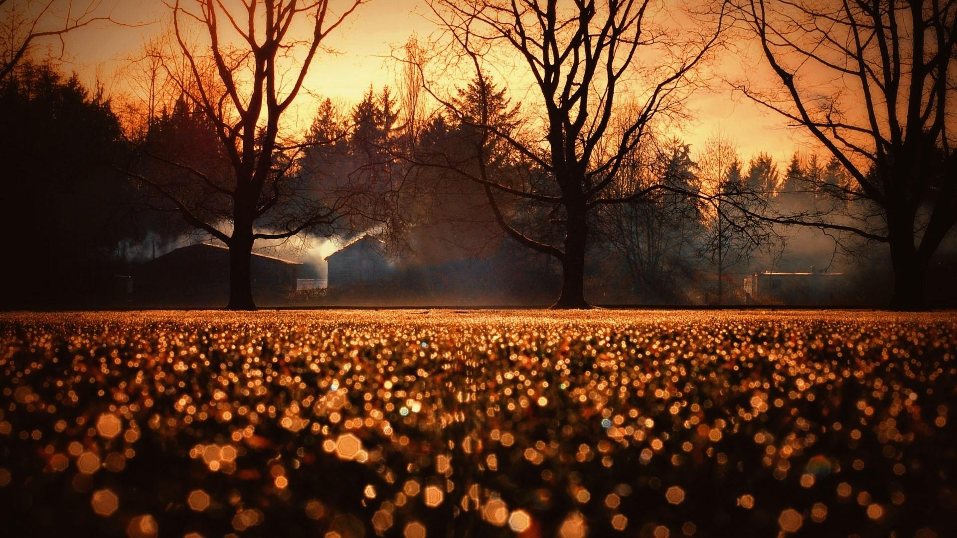 Autumn Night Desktop Wallpapers Wallpaper Cave