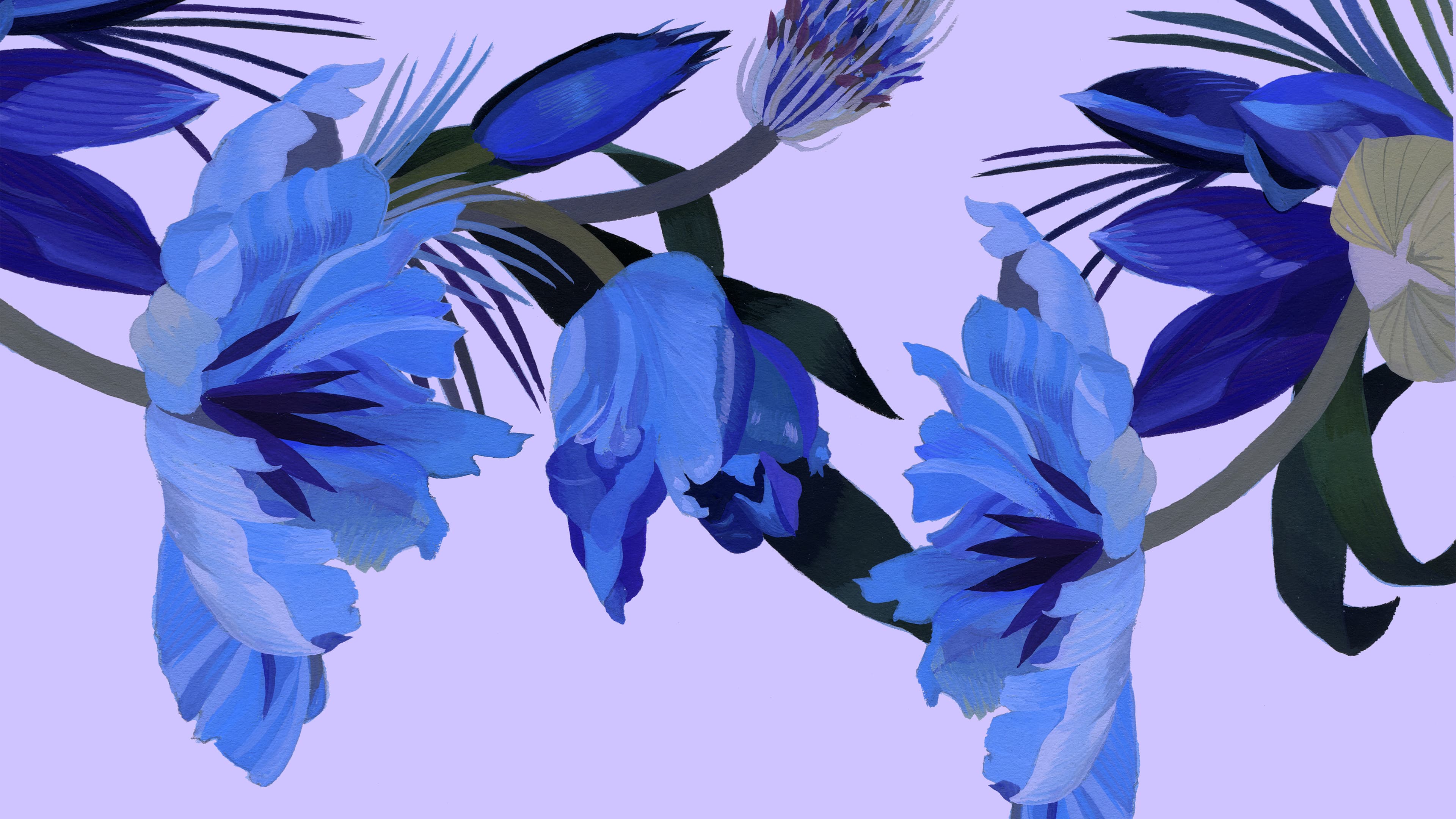 Art Hoe Wallpapers Wallpaper Cave