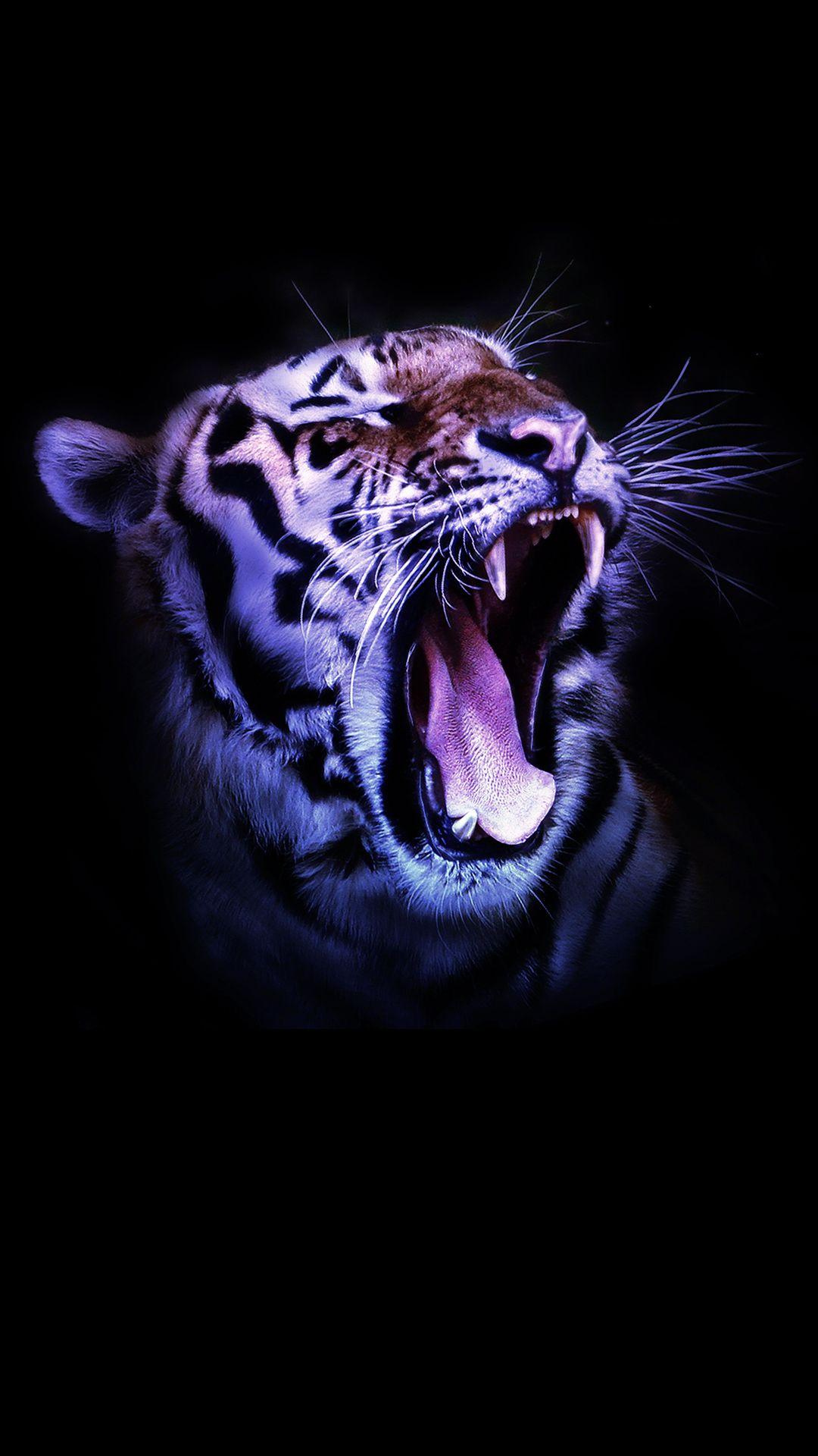 Tiger Phone Wallpapers Wallpaper Cave