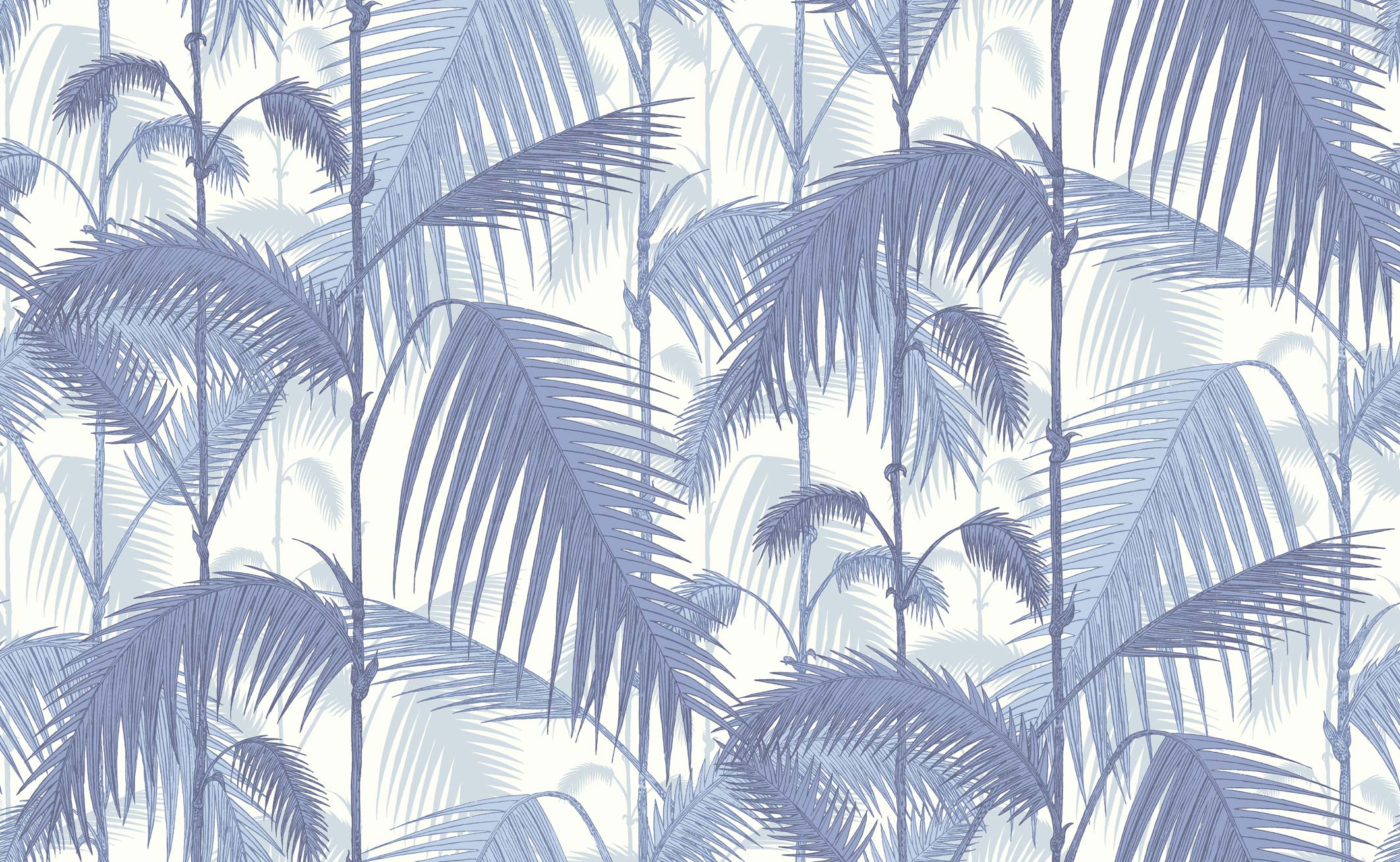 Blue Palms Wallpapers Wallpaper Cave