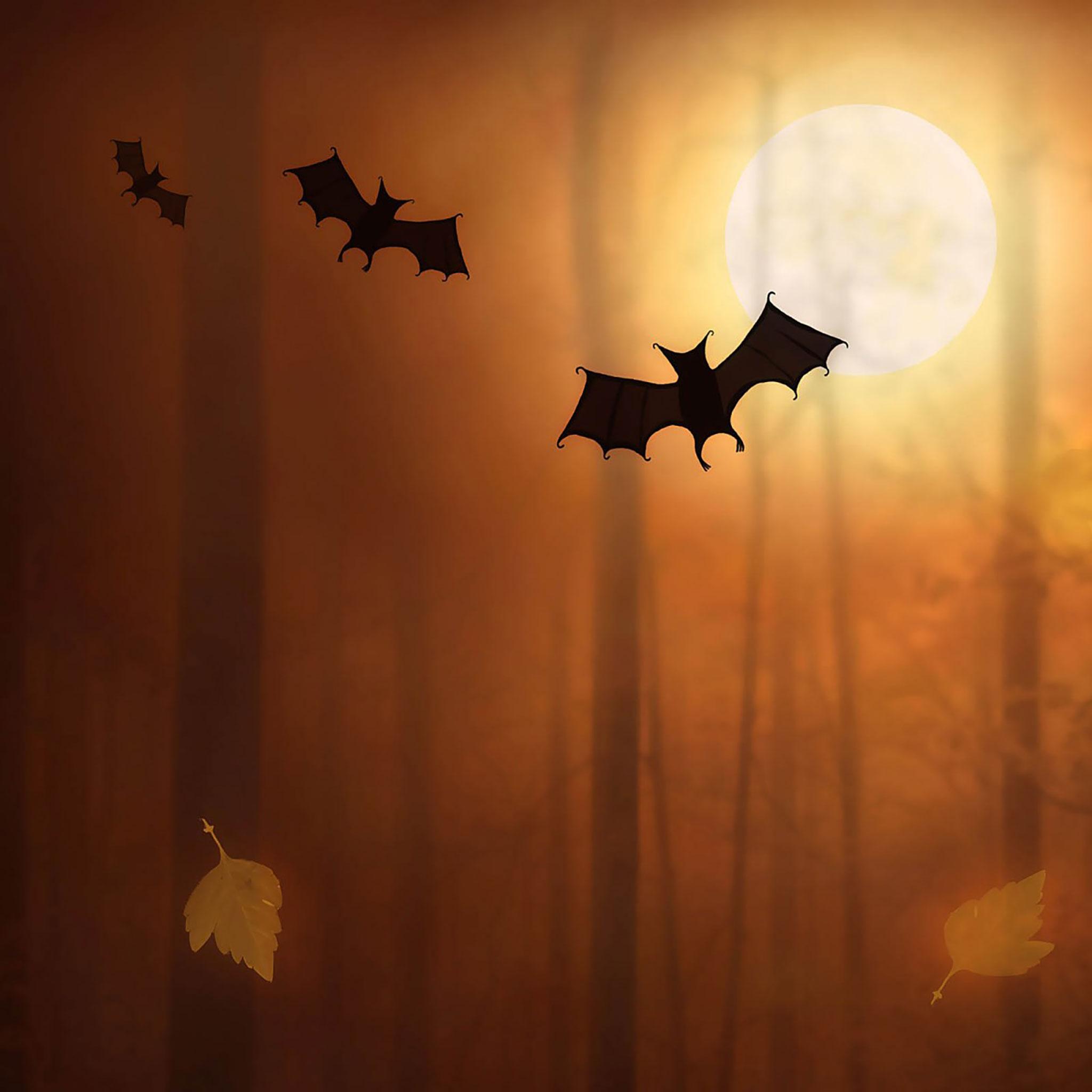 Orange Halloween Wallpapers Wallpaper Cave