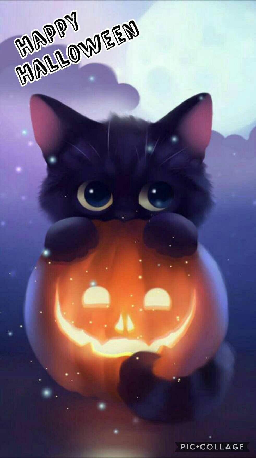 Kawaii Black Cat Halloween Wallpapers Wallpaper Cave