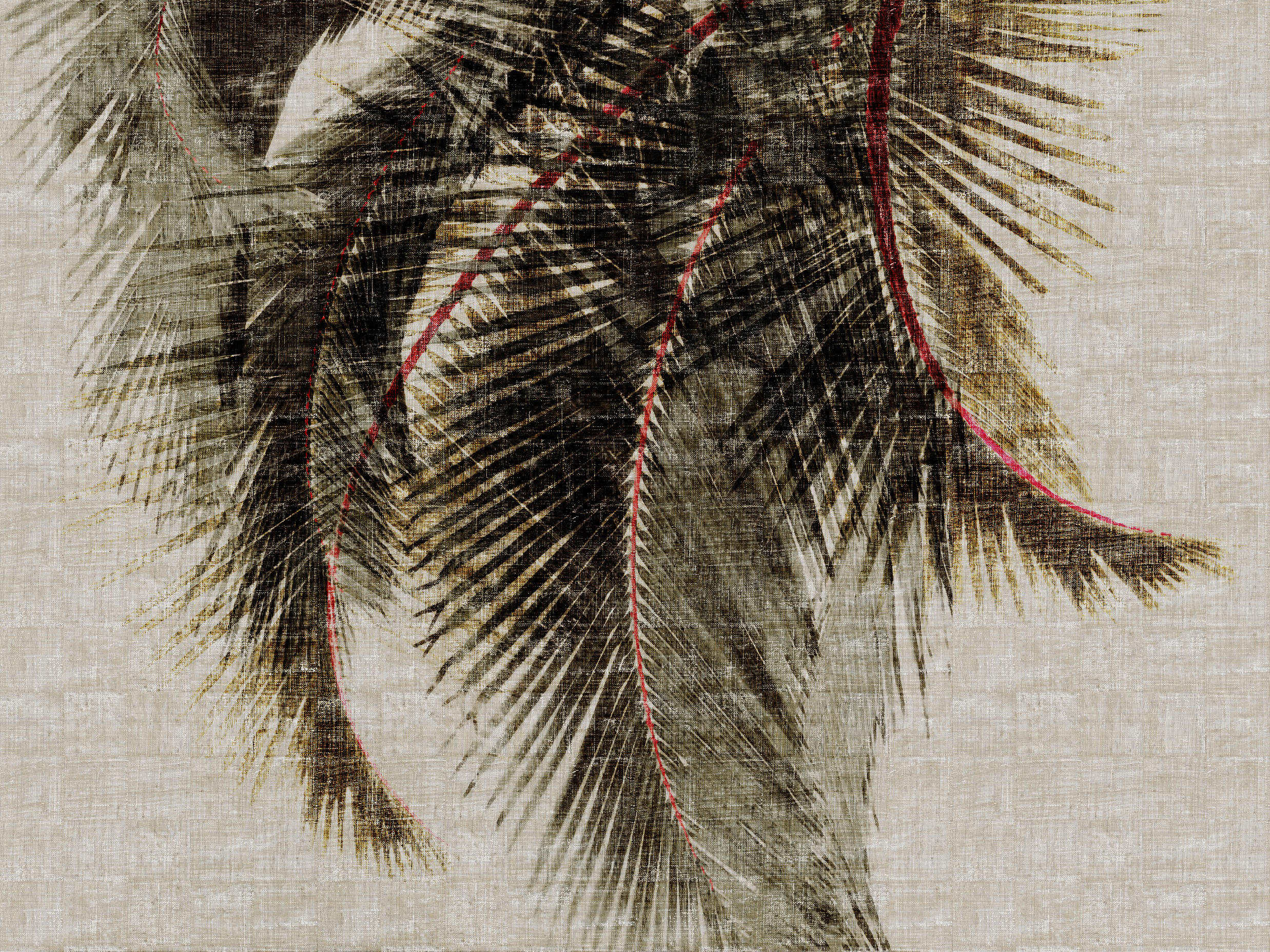 Raffia Wallpapers Wallpaper Cave