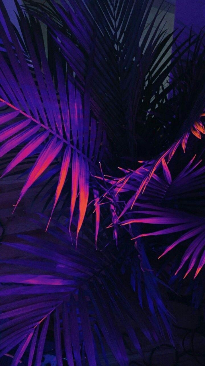 Pink And Purple Aesthetic Wallpapers Wallpaper Cave