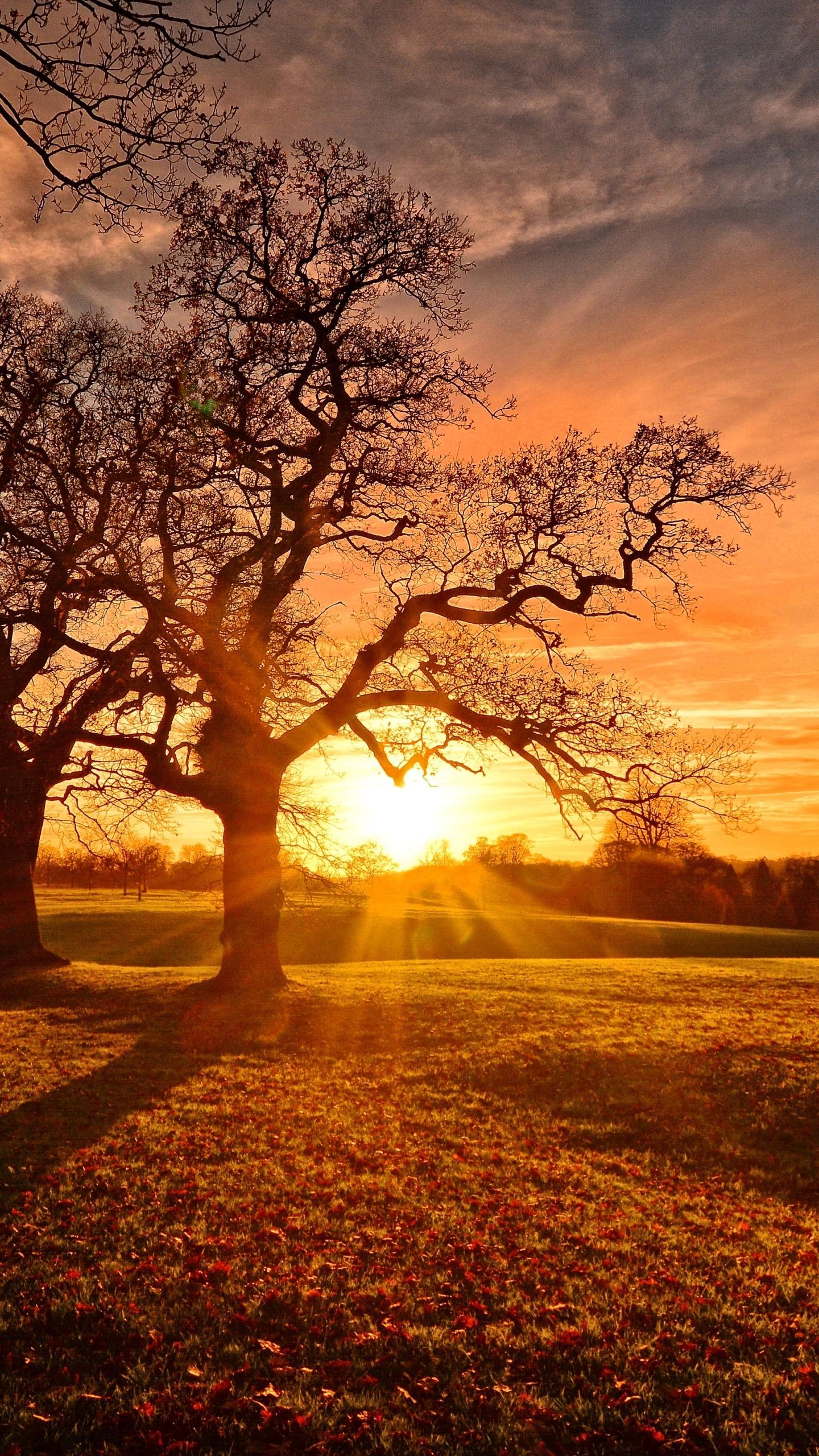 Autumn Sunset Wallpapers Wallpaper Cave