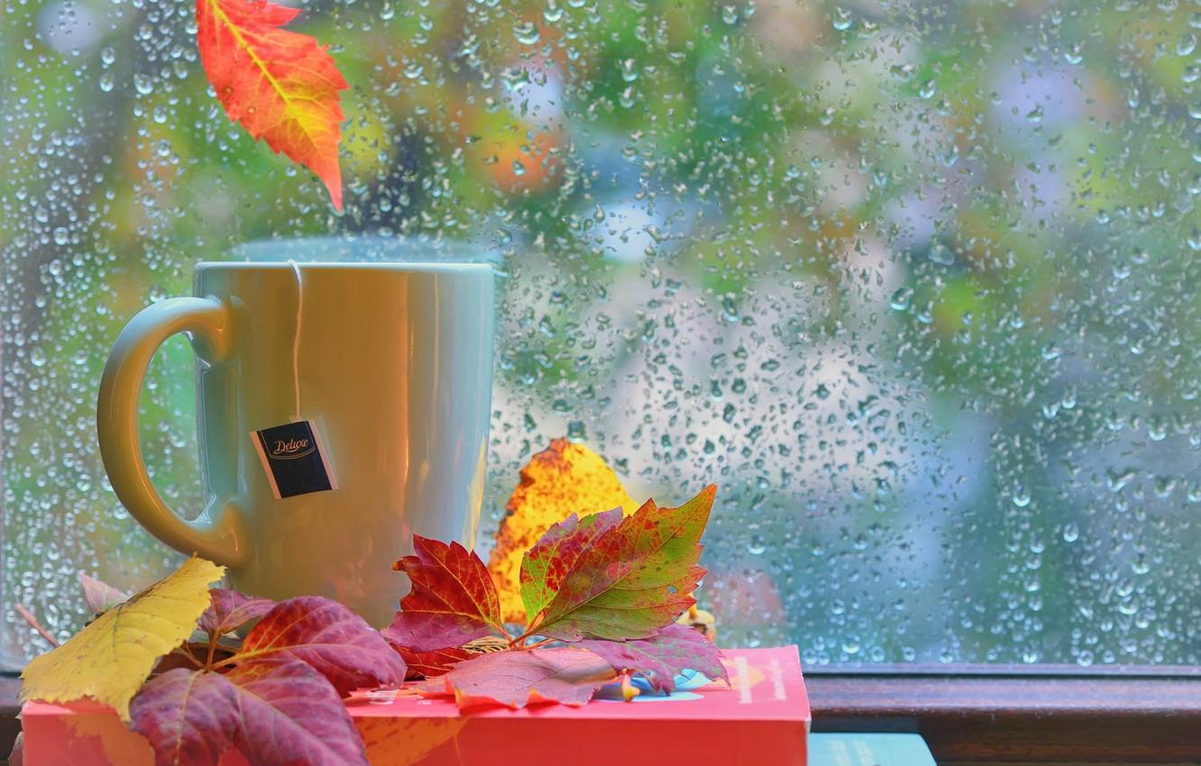 Autumn Coffee Rain Wallpapers Wallpaper Cave