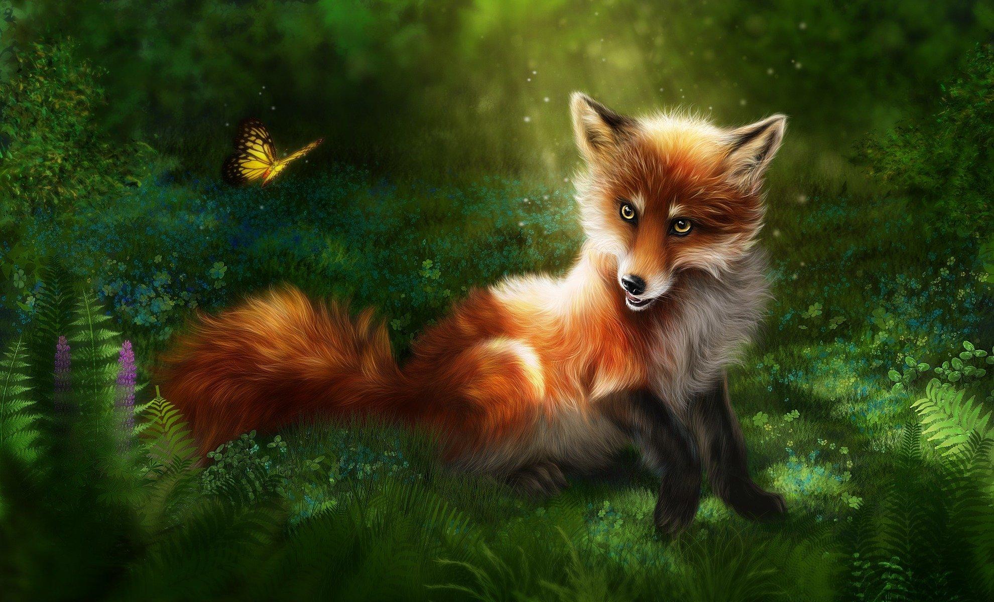 Fox And Butterfly Wallpapers Wallpaper Cave